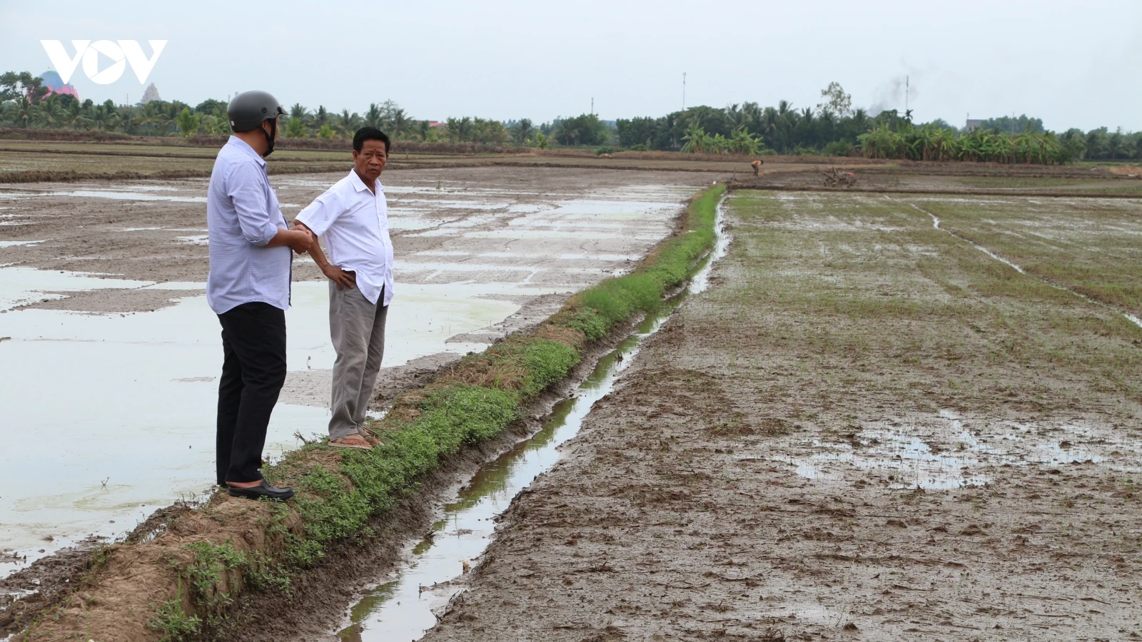 Người nông dân Khmer làm giàu từ tư duy đổi mới