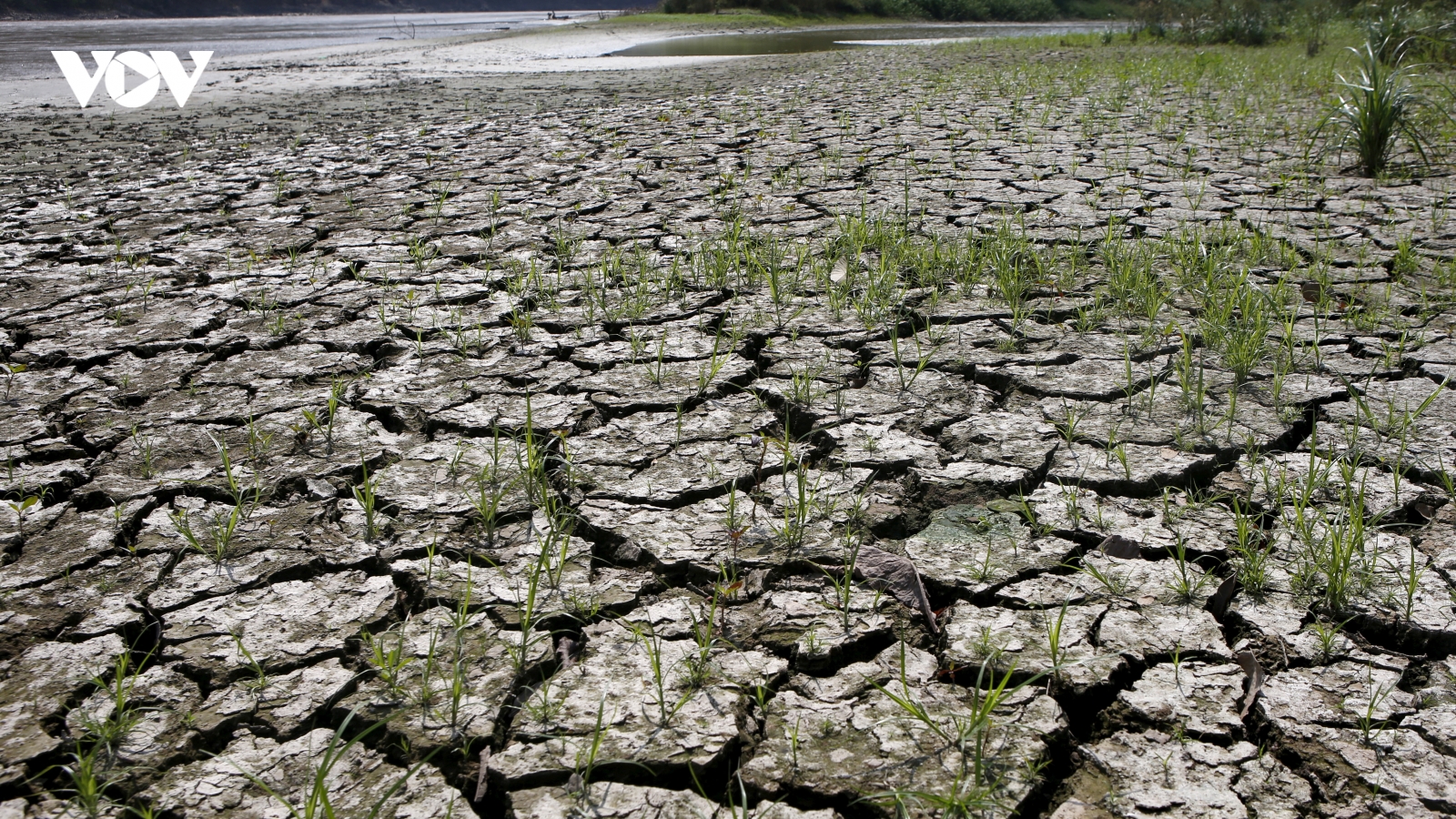 Malaysia cảnh báo hệ lụy kinh tế - xã hội nghiêm trọng do El Nino