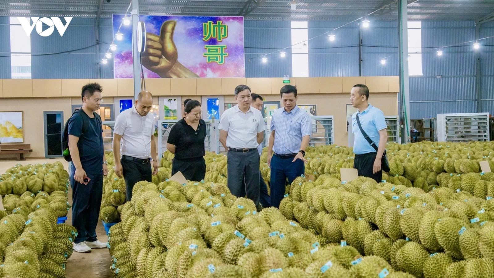 Khơi thông “luồng xanh” xuất khẩu, nâng cao năng lực cho sầu riêng Tây Nguyên