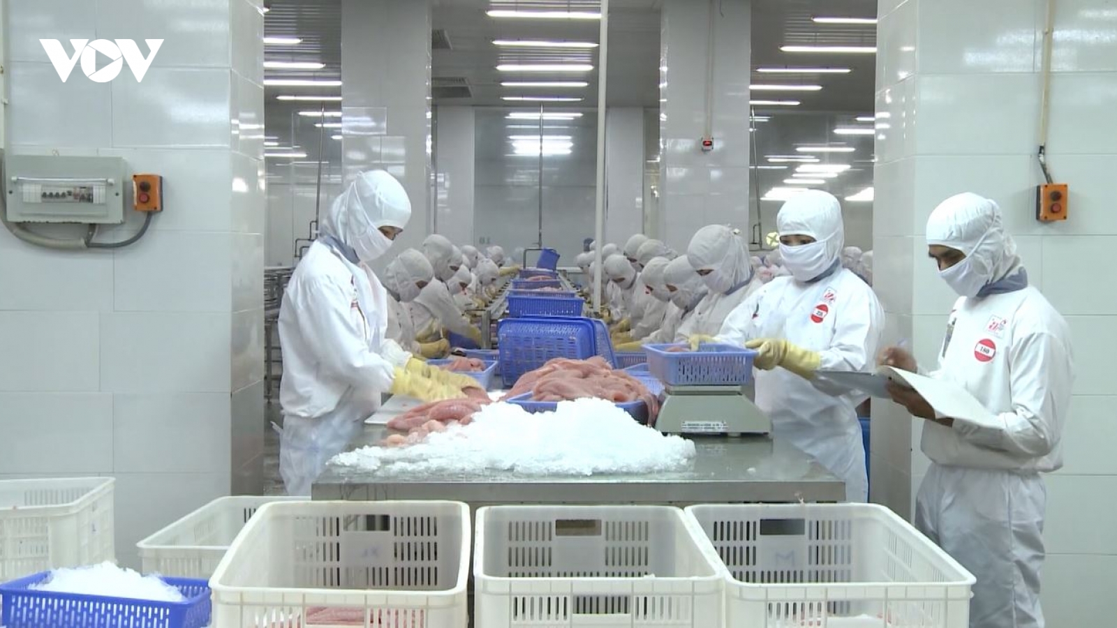 Nông nghiệp trước áp lực phòng vệ thương mại toàn cầu và những biến thể mới
