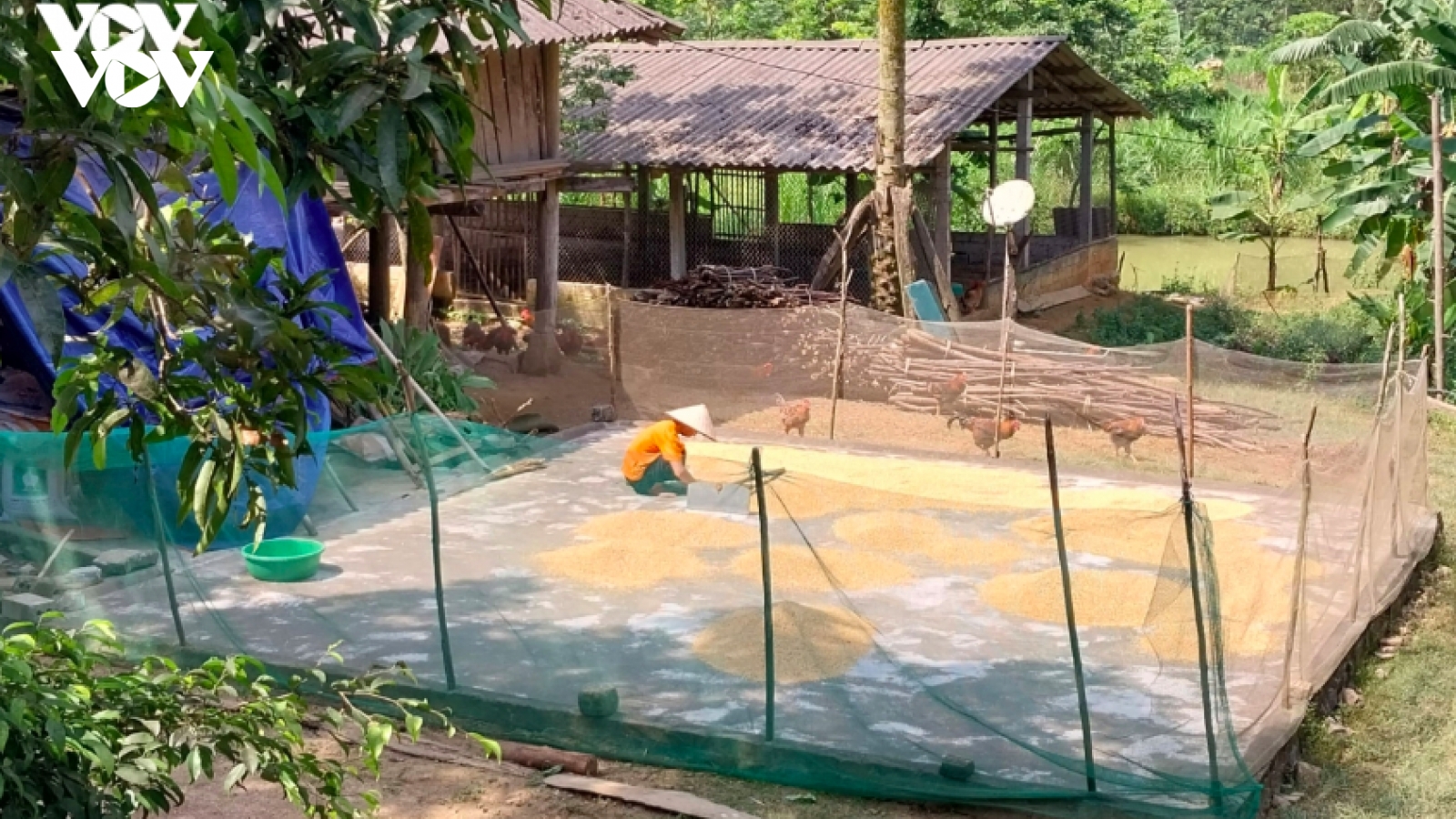 Tuyên Quang phấn đấu không còn hộ nghèo vùng đồng bào dân tộc thiểu số