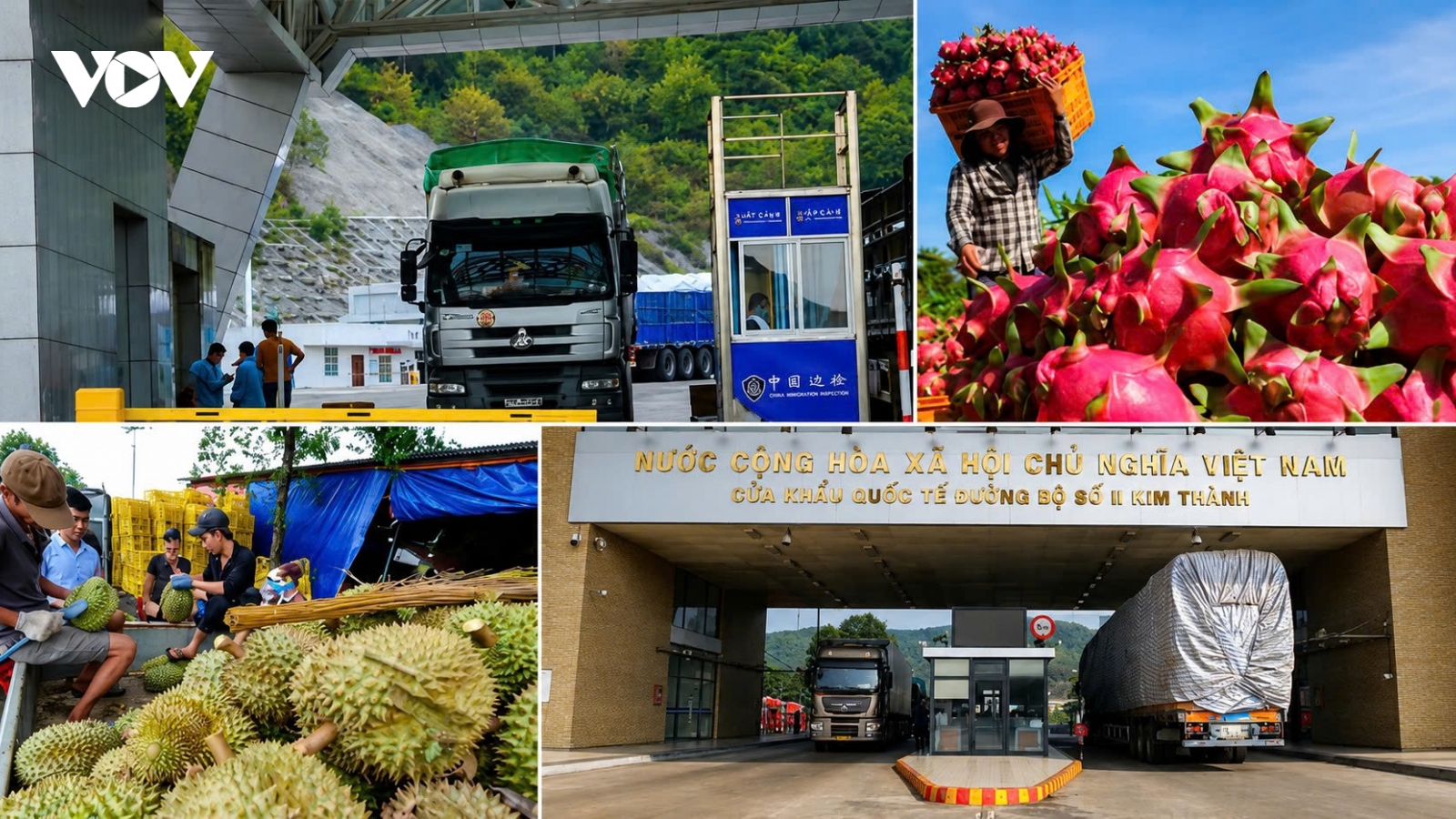 Vietnam-China agricultural trade poised for growth despite structural challenges
