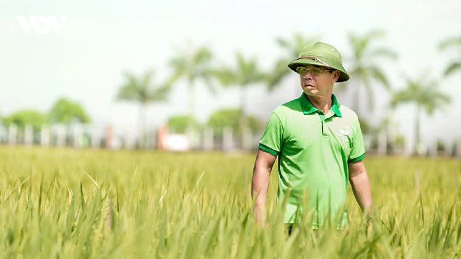 Khơi thông điểm nghẽn thủ tục hành chính, điều kiện kinh doanh