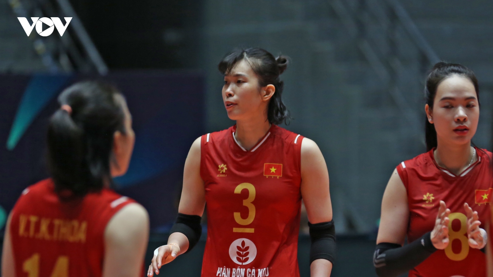 Xem trực tiếp bóng chuyền nữ Việt Nam vs Hàn Quốc tại AVC Cup 2026 ở đâu?