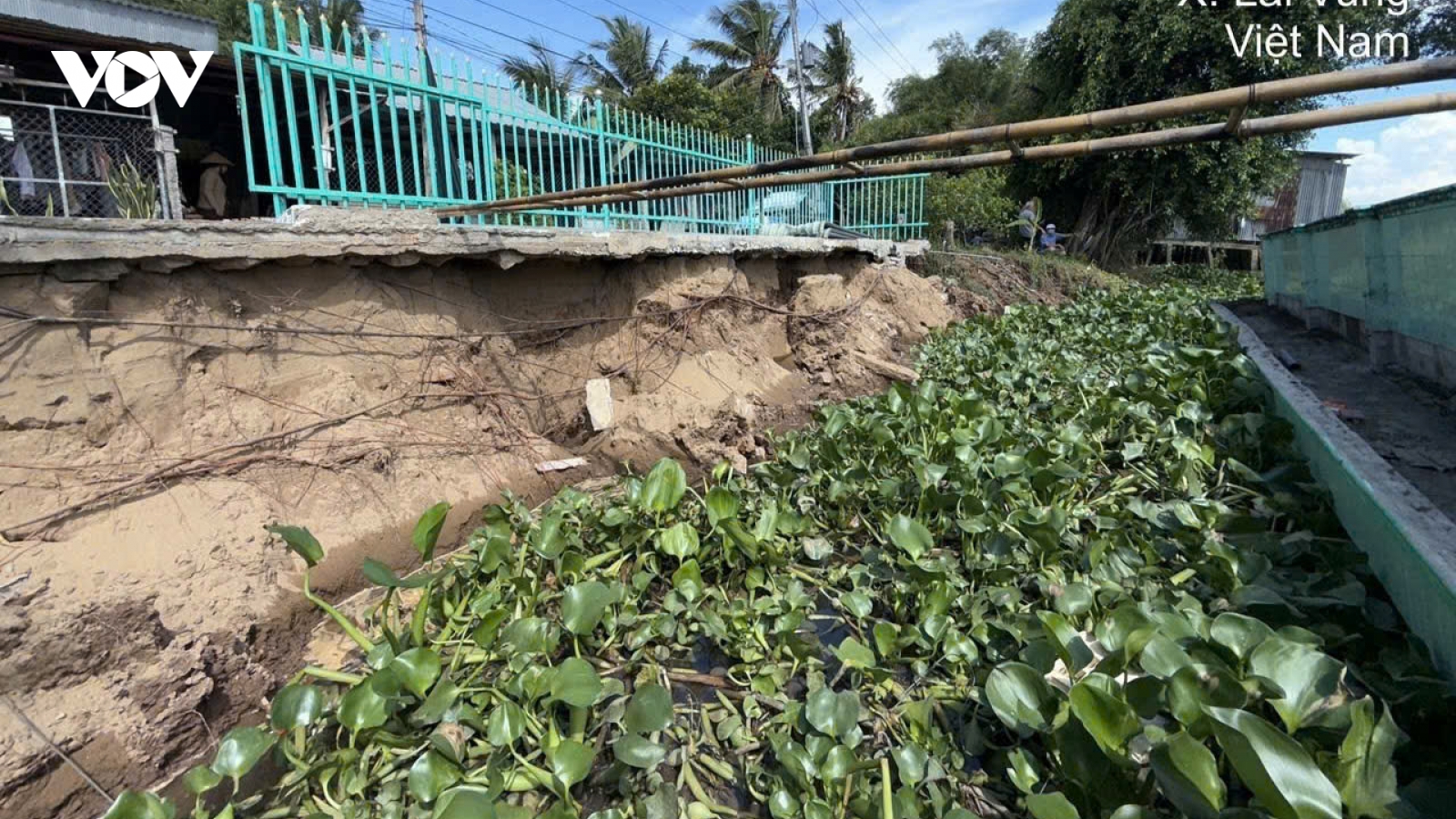 Đồng Tháp: Sạt lở bờ sông Lai Vung, 1 căn nhà đổ sụp xuống sông