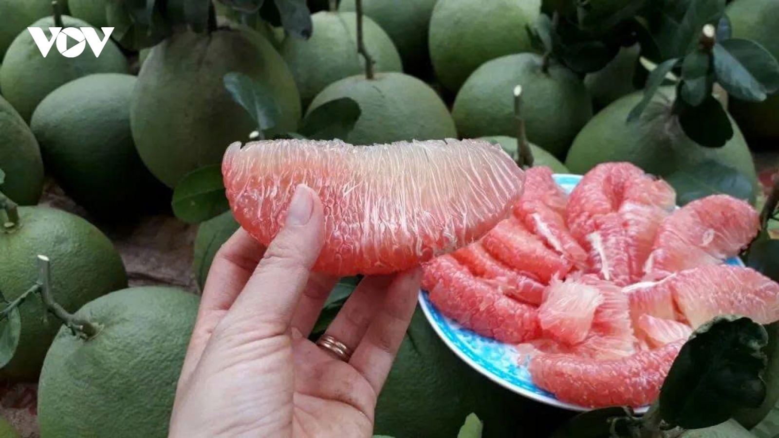 Không chỉ ngon ngọt, bưởi da xanh còn mang lại 8 lợi ích bất ngờ cho sức khỏe