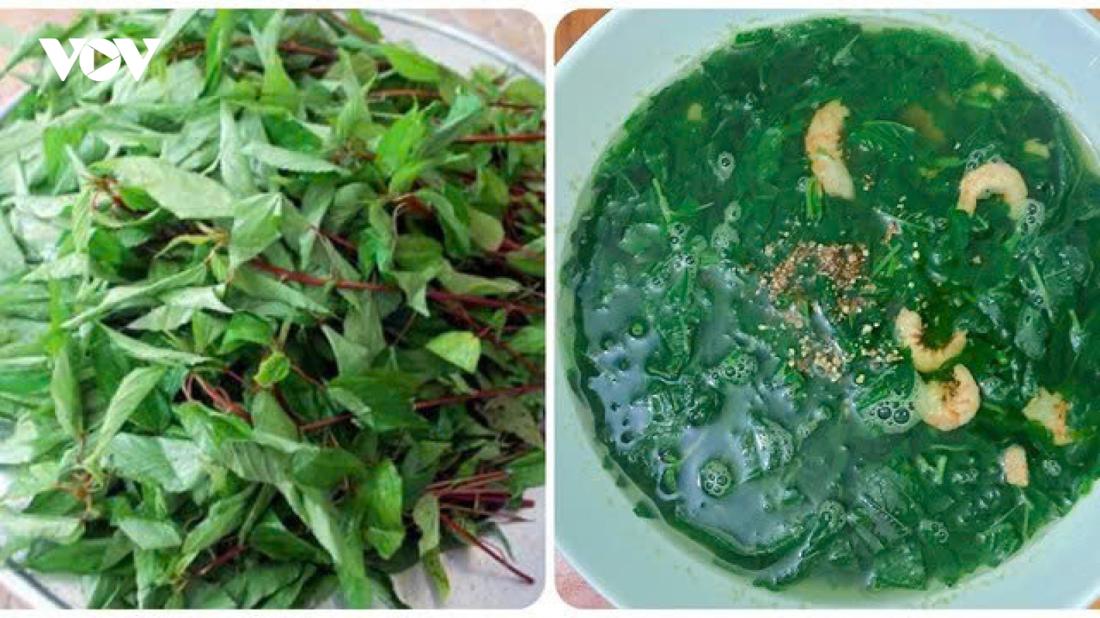 Ăn rau đay thường xuyên có tác dụng gì?