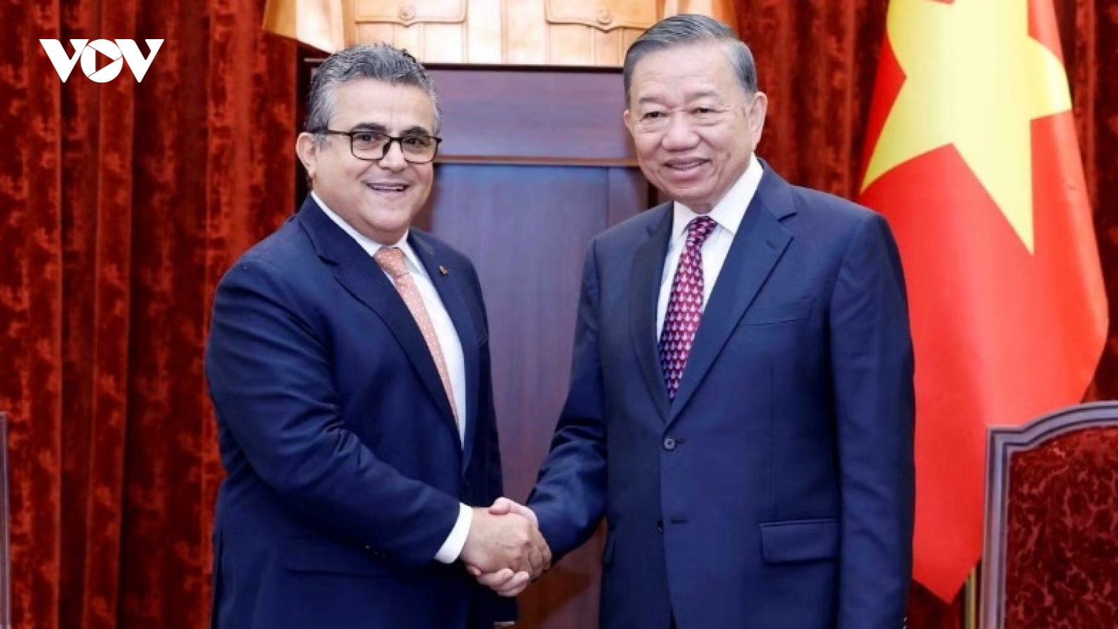 Tổng Bí thư, Chủ tịch nước tiếp Đại sứ Nhà nước Palestine chào từ biệt