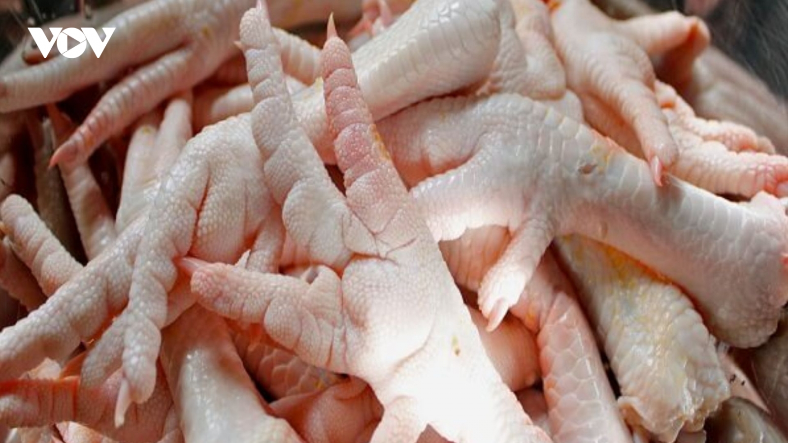Không thể phân biệt bằng mắt thường, làm sao tránh mua phải chân gà bẩn