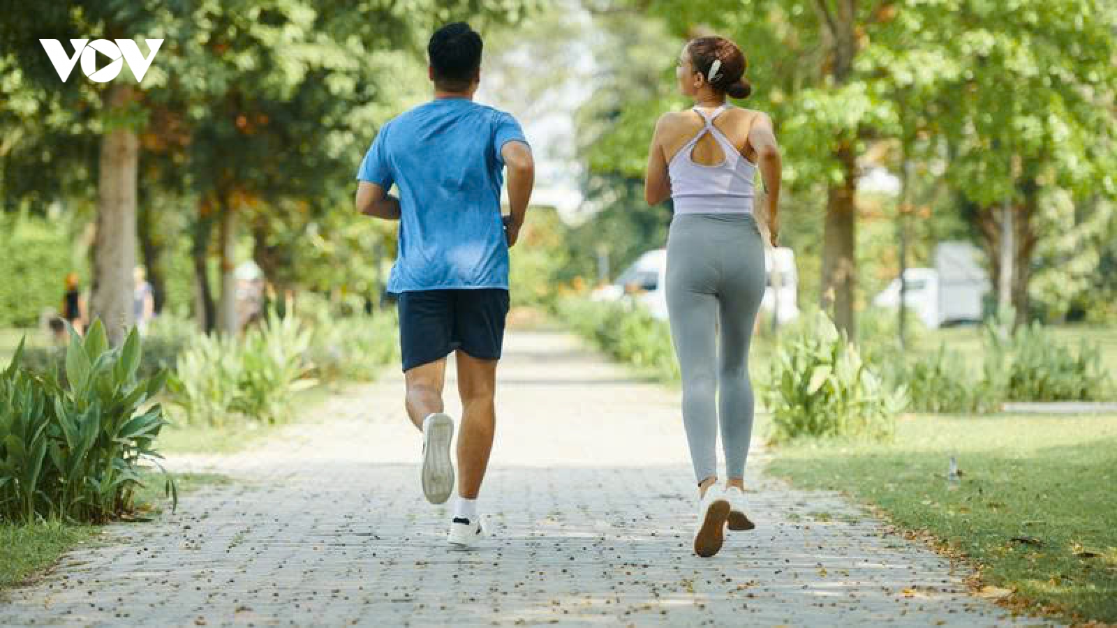 Chạy bộ bao lâu thì giảm mỡ bụng? Thời điểm cơ thể bắt đầu đốt mỡ