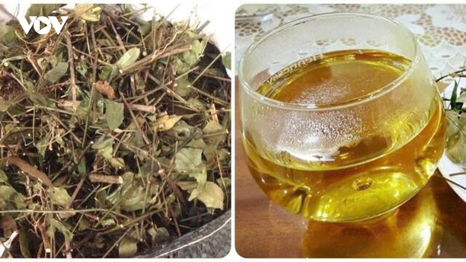Uống chè vằng bao lâu thì nên dừng? Nhiều người đang dùng mà không biết điều này