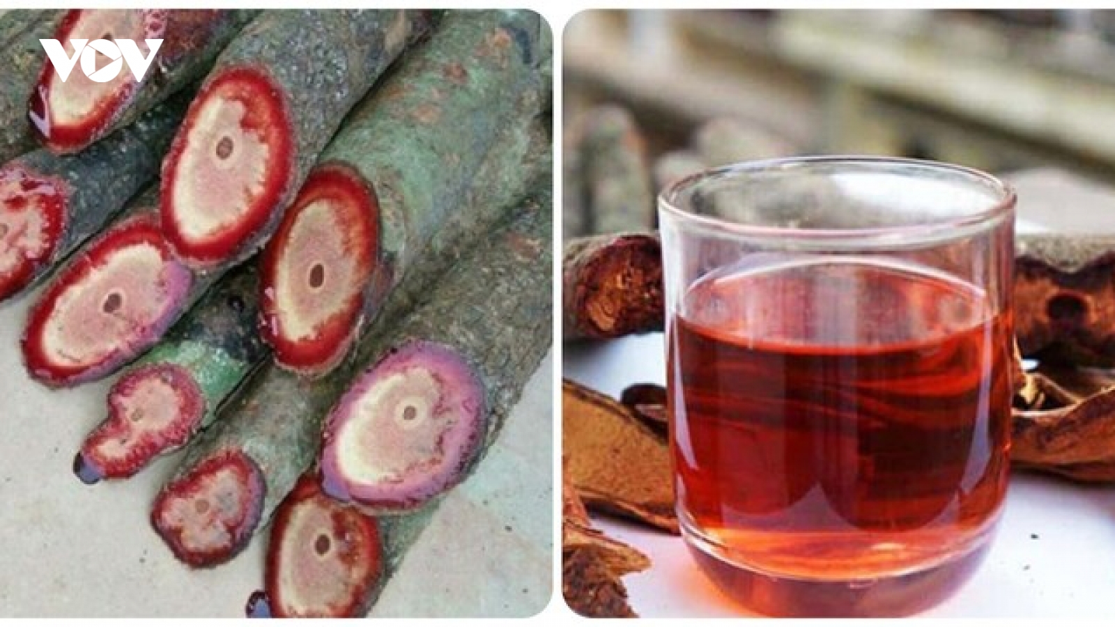 Cây thuốc quý dễ tìm, dùng thường xuyên bổ máu, dưỡng gan cực hiệu quả