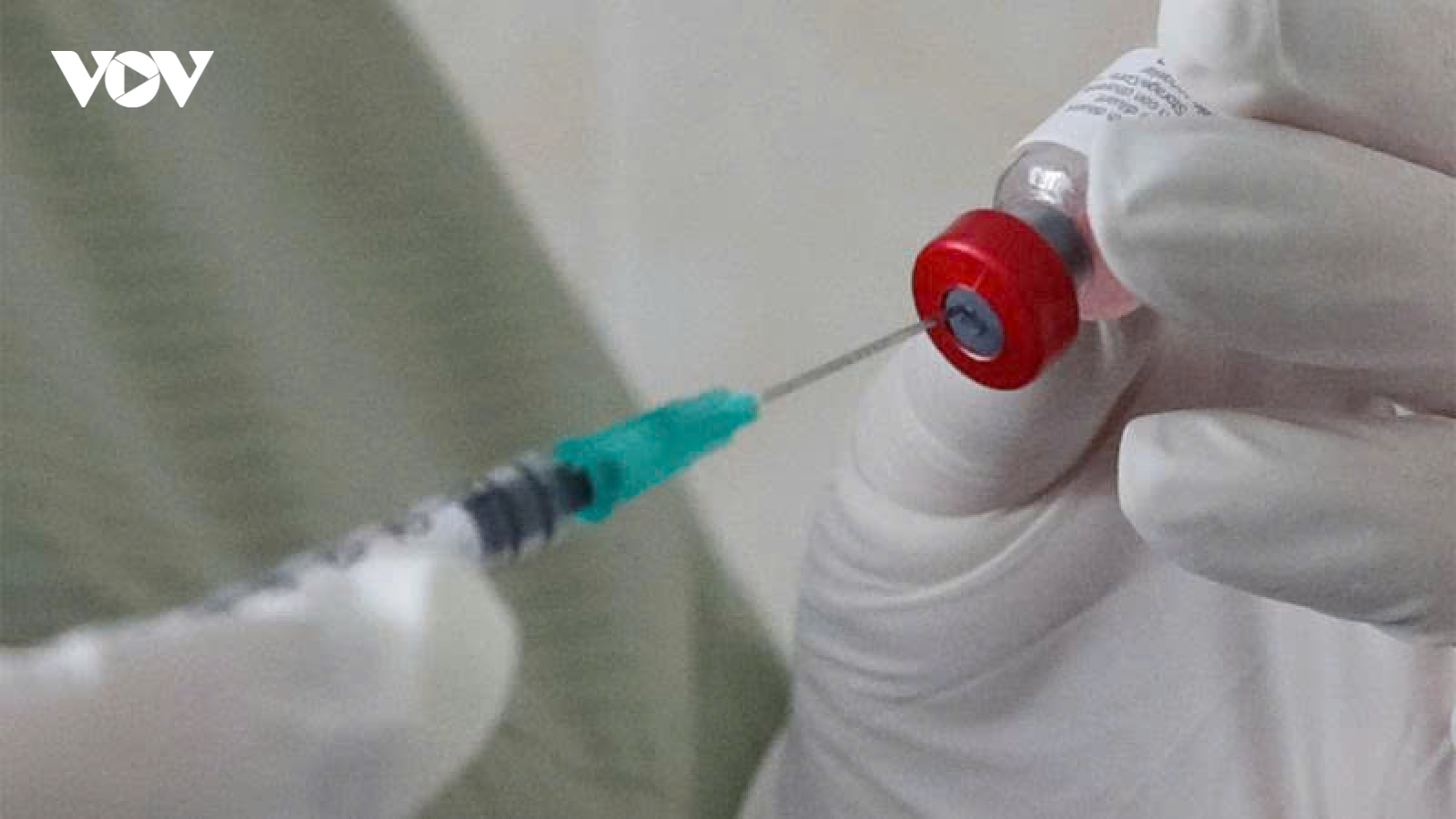 Ấn Độ tăng cường cảnh giác sau ca nhiễm virus Nipah mới