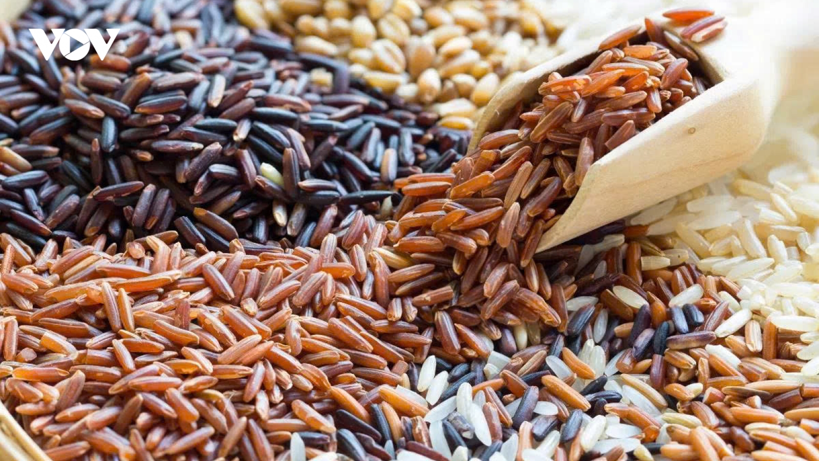 13 công dụng nổi bật của gạo lứt giúp mẹ bầu khỏe mạnh suốt thai kỳ