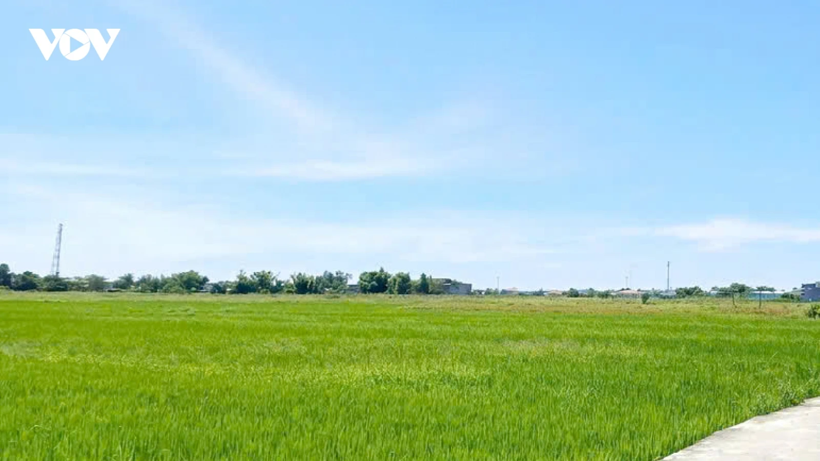 Đà Nẵng tháo gỡ vướng mắc về đất đai tại dự án khu đô thị Phong Nam - Hòa Châu