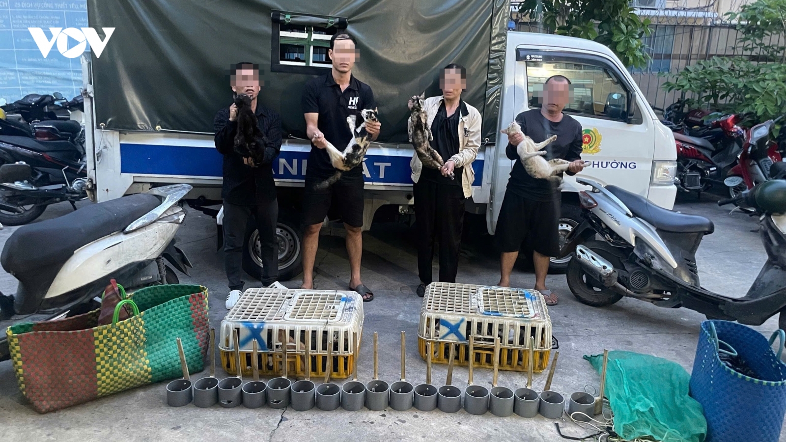 Triệt phá đường dây trộm và tiêu thụ mèo, giải cứu khoảng 400 con mèo còn sống