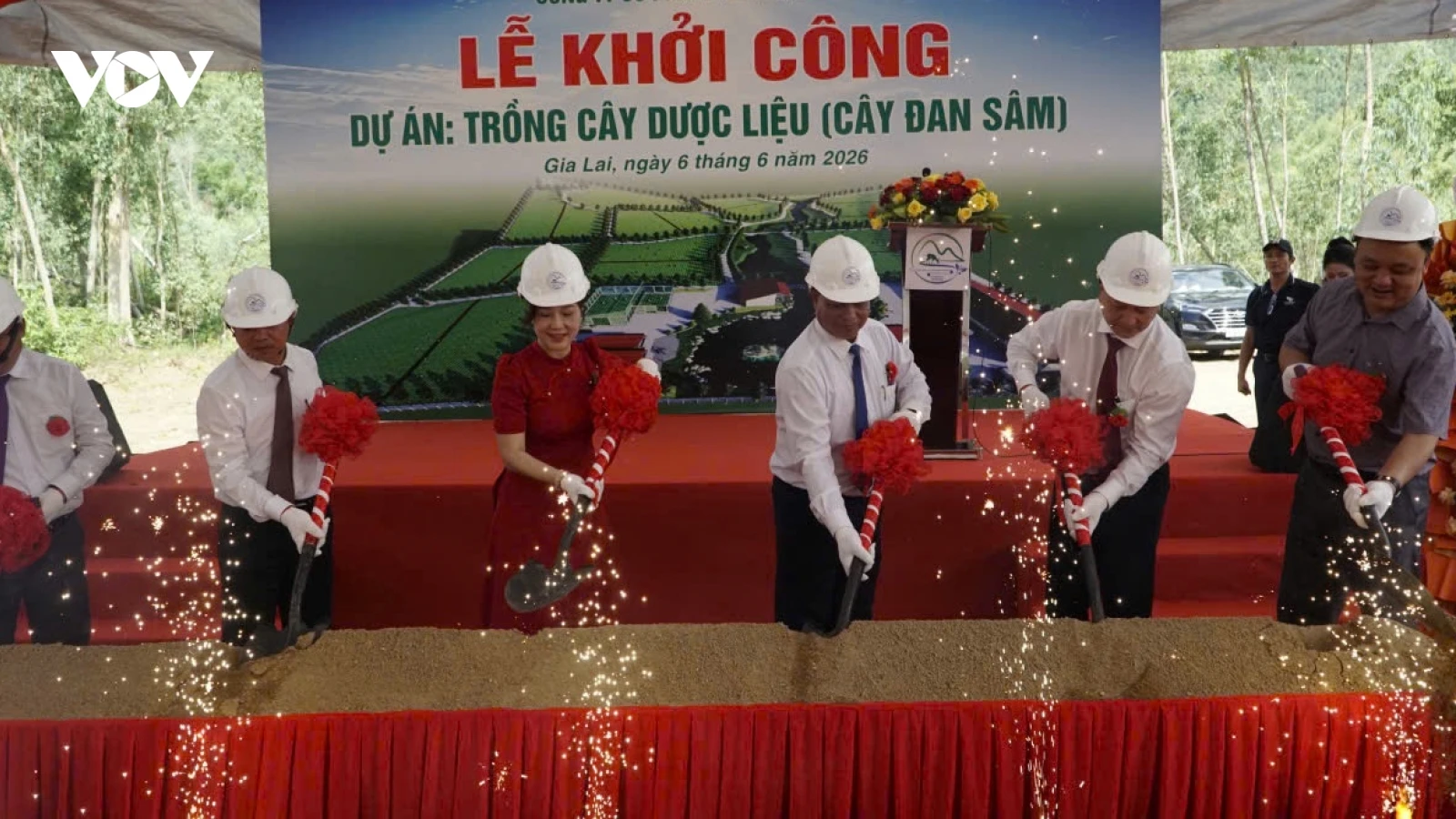 Gia Lai khởi công dự án trồng cây dược liệu Đan Sâm quy mô 200ha