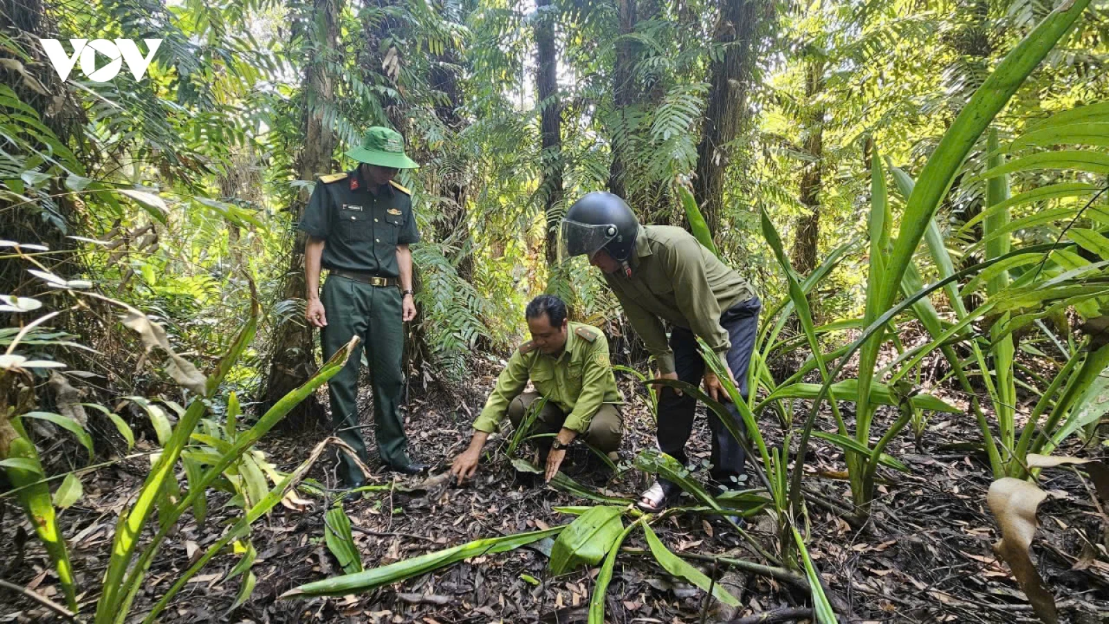 Cần Thơ không chủ quan, lơ là trong công tác phòng cháy, chữa cháy rừng
