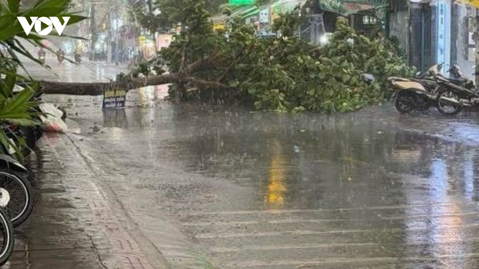 Mưa đá kèm gió giật mạnh xuất hiện bất ngờ ở Lâm Đồng