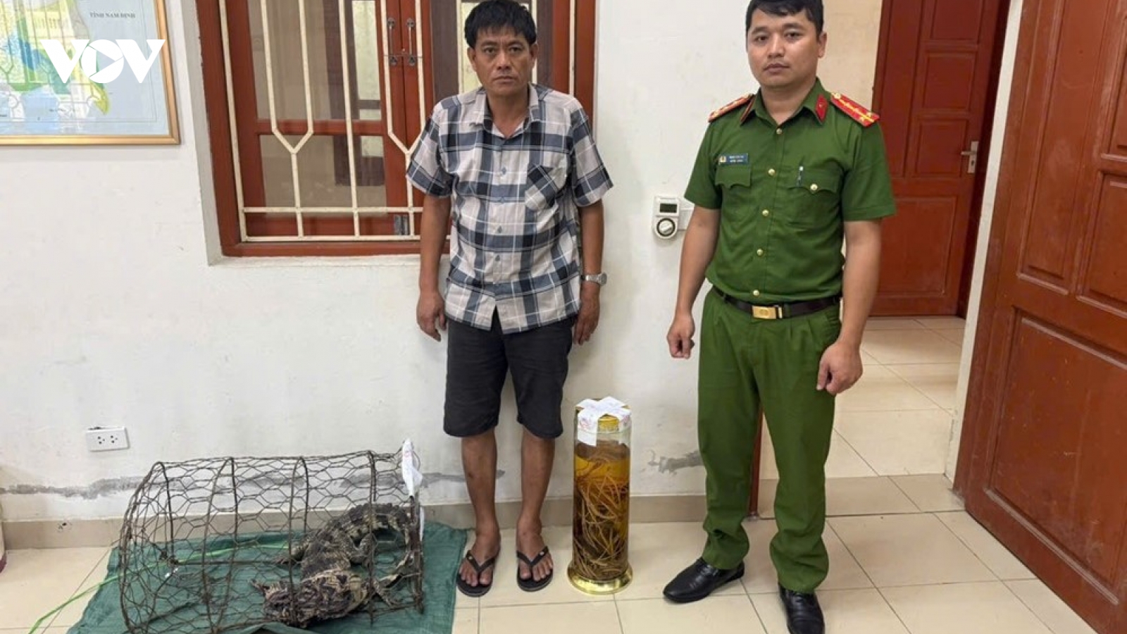 Khởi tố người đàn ông tàng trữ rượu ngâm tay gấu, nuôi nhốt cá sấu trái phép