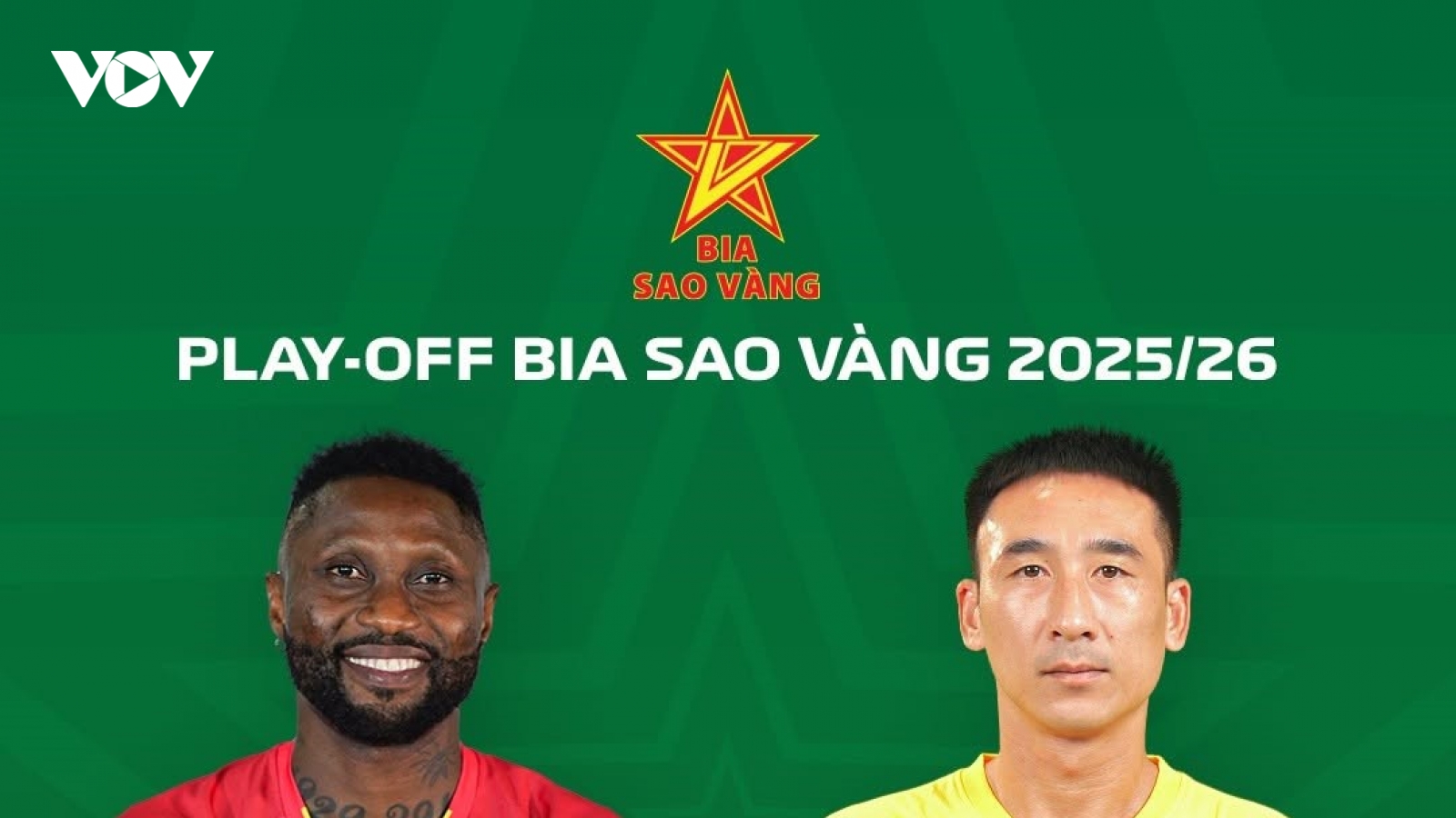 Lịch thi đấu và trực tiếp bóng đá Việt Nam hôm nay 12/6