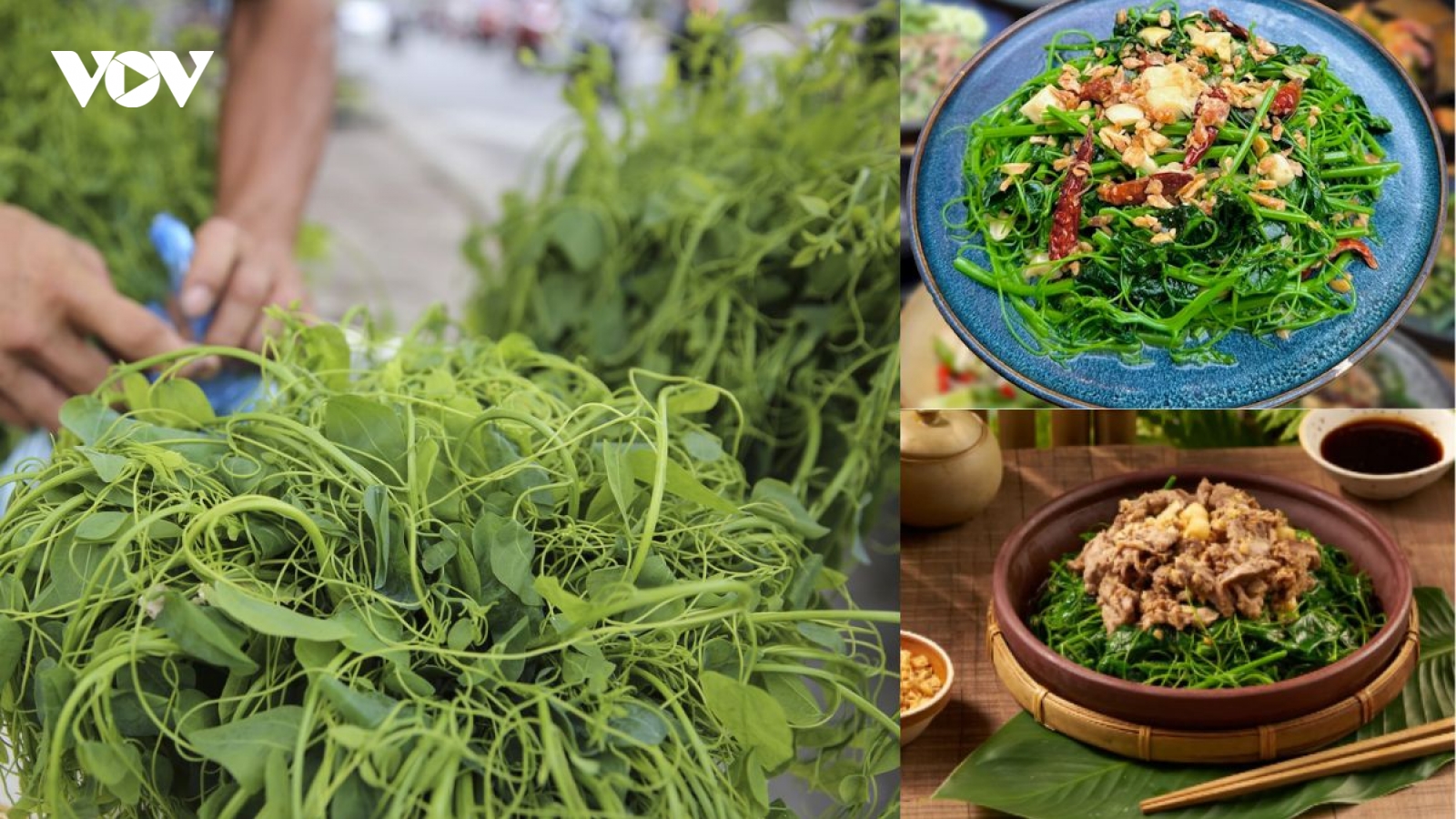 Rau bò khai có gì đặc biệt mà được nhiều người săn tìm đến vậy?
