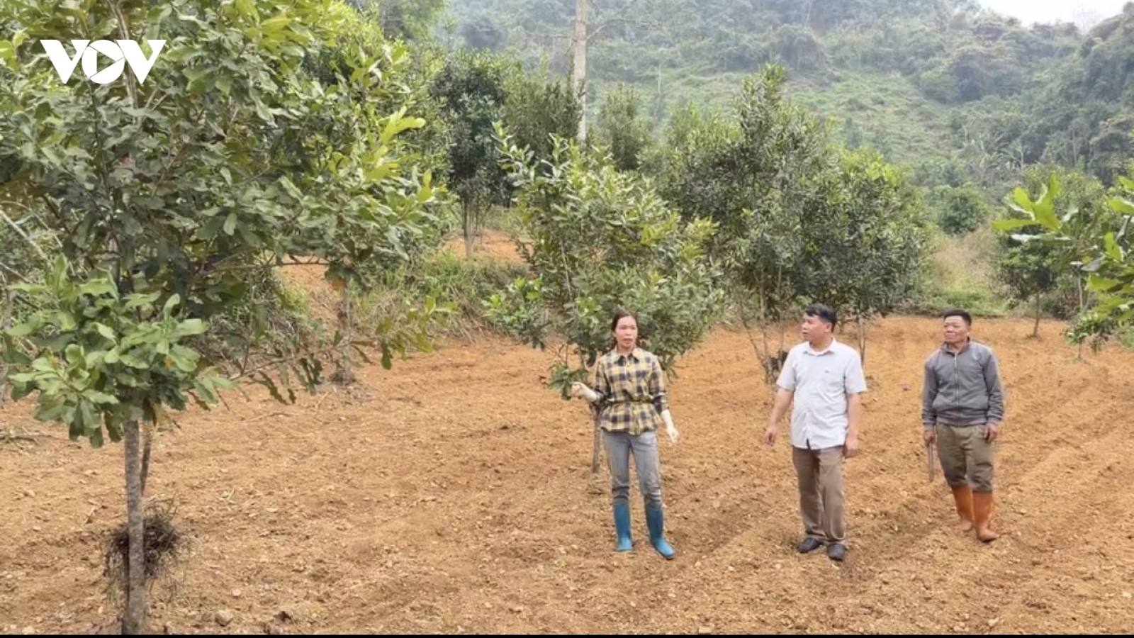 Nông dân Cao Bằng phát triển kinh tế từ mô hình tổng hợp