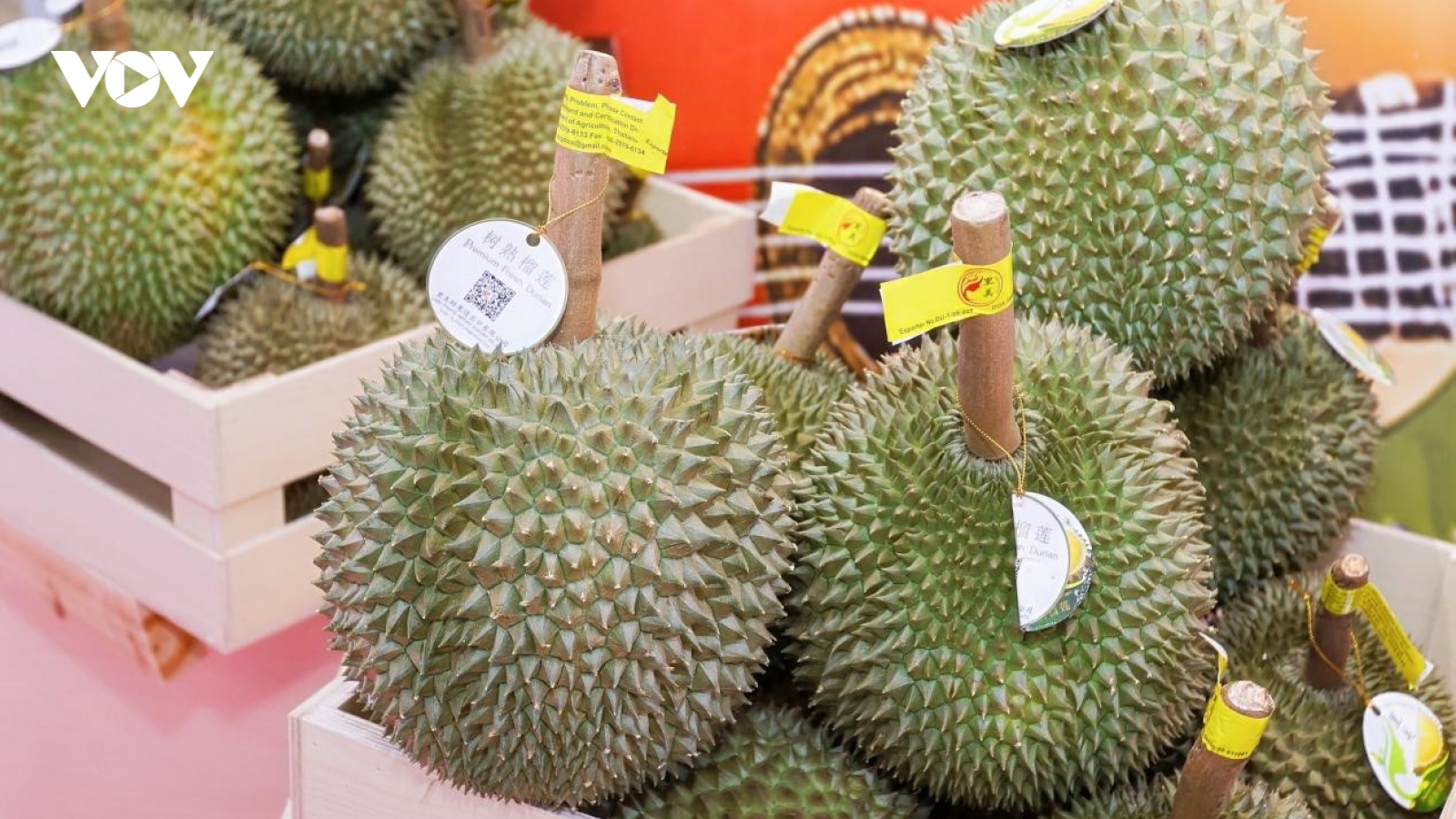 Lô hàng nông sản ASEAN cập Cảng đường sắt quốc tế Nam Ninh (Trung Quốc)