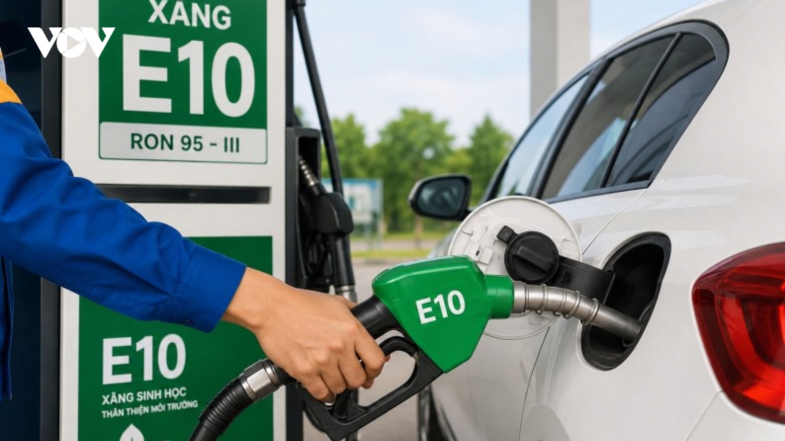 Các hãng xe lớn tại Việt Nam thông tin ô tô tương thích với xăng E10