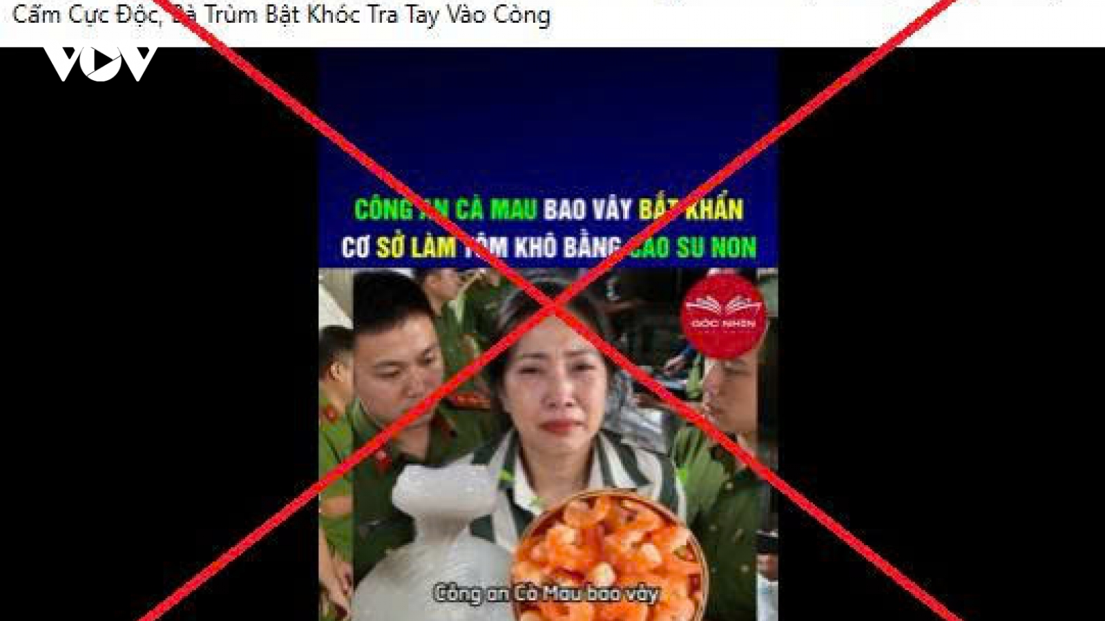 Cà Mau bác tin thất thiệt về việc sản xuất tôm khô bằng cao su non
