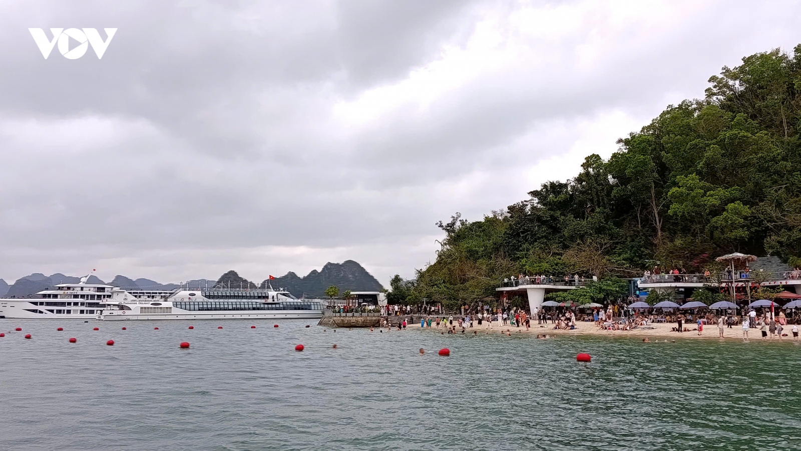 Quảng Ninh siết an toàn trước bão số 1, tạm dừng tàu lưu trú trên vịnh Hạ Long