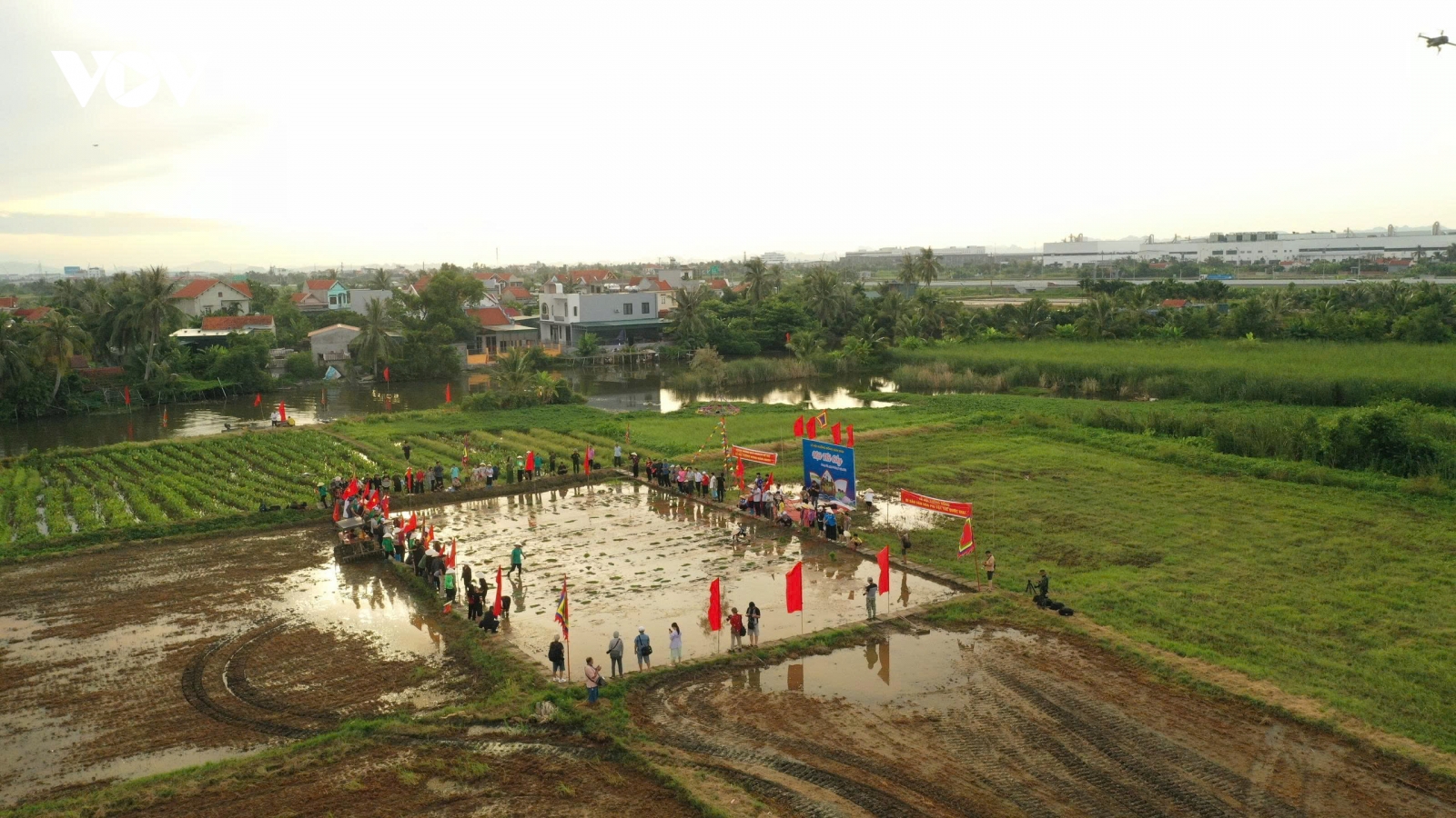 Rộn ràng ngày hội xuống đồng trên đảo Hà Nam ở Quảng Ninh
