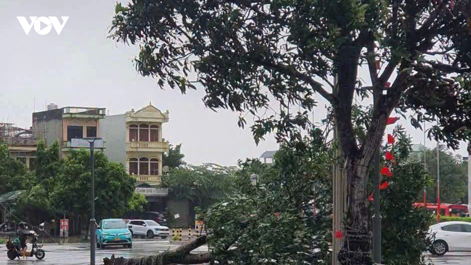 Quảng Ninh chưa ghi nhận thiệt hại về người do bão số 1