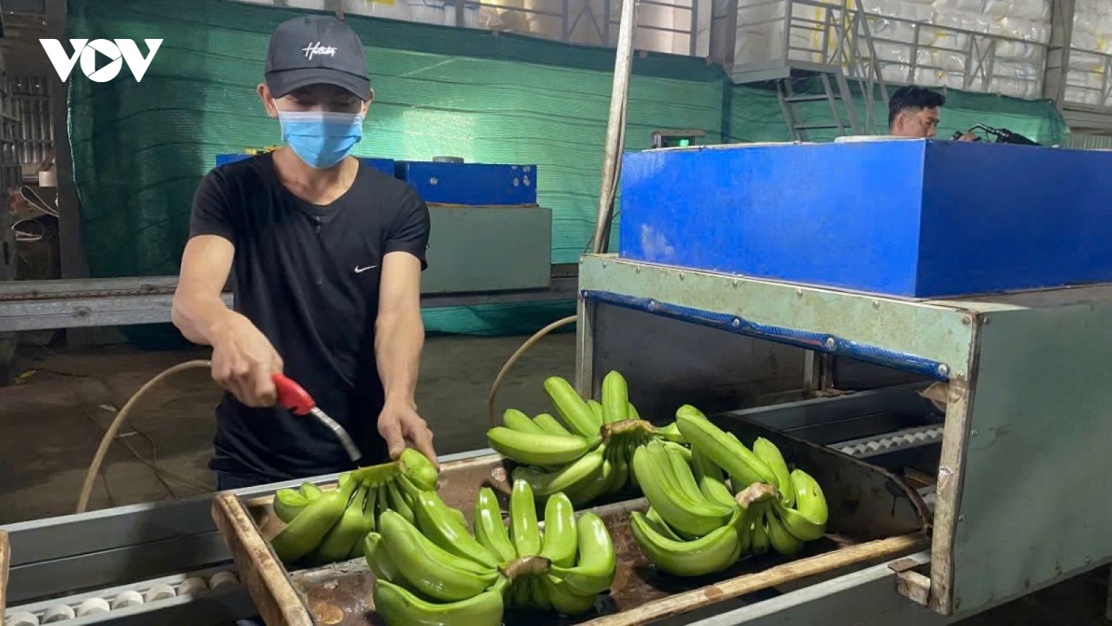 Tháo gỡ khó khăn cho xuất khẩu nông lâm thủy sản
