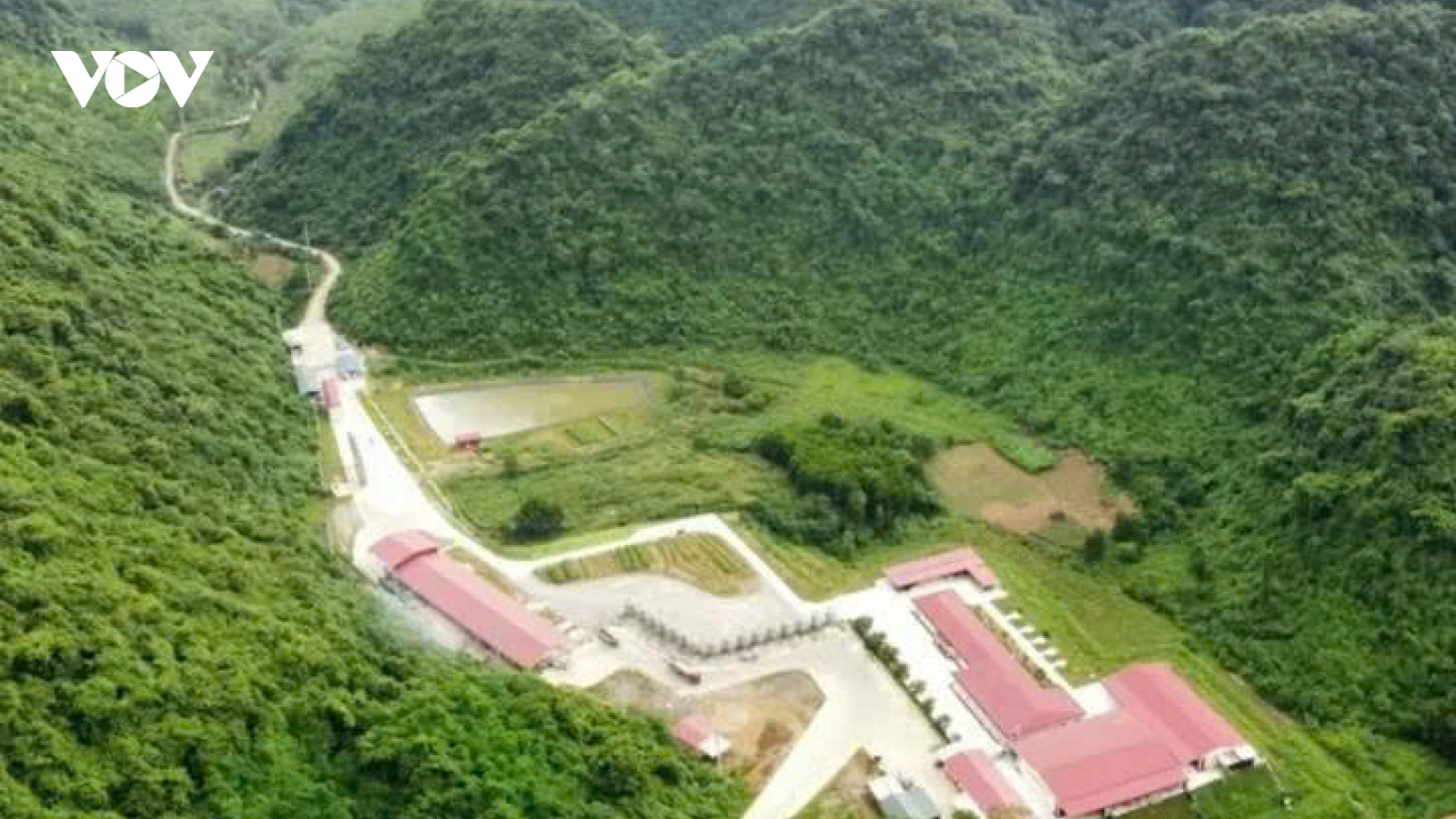 Vụ tai nạn tại trang trại lợn ở Thanh Hóa, thêm 2 nạn nhân tử vong