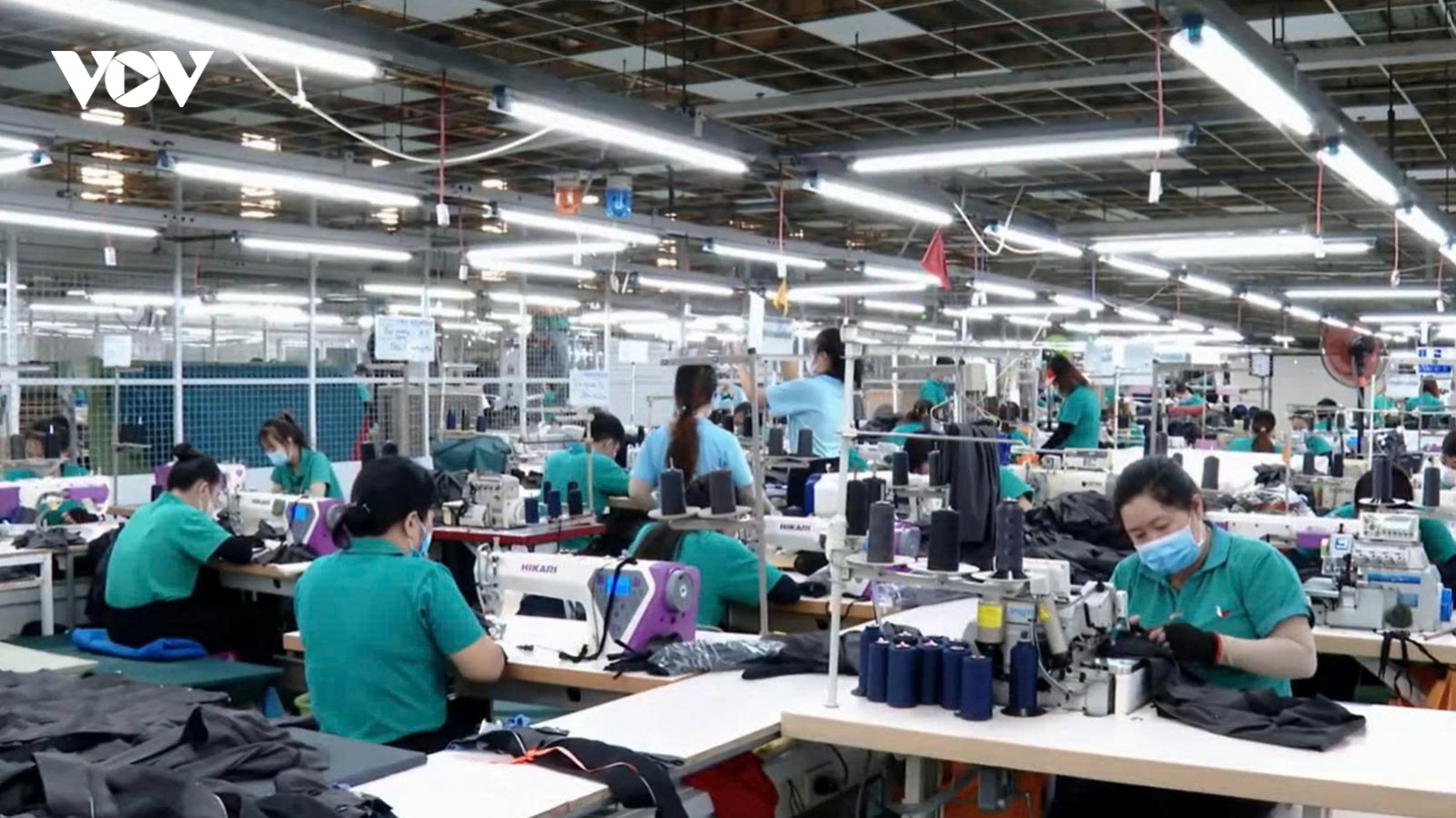 Vĩnh Long đẩy mạnh phát triển doanh nghiệp và kinh tế tập thể