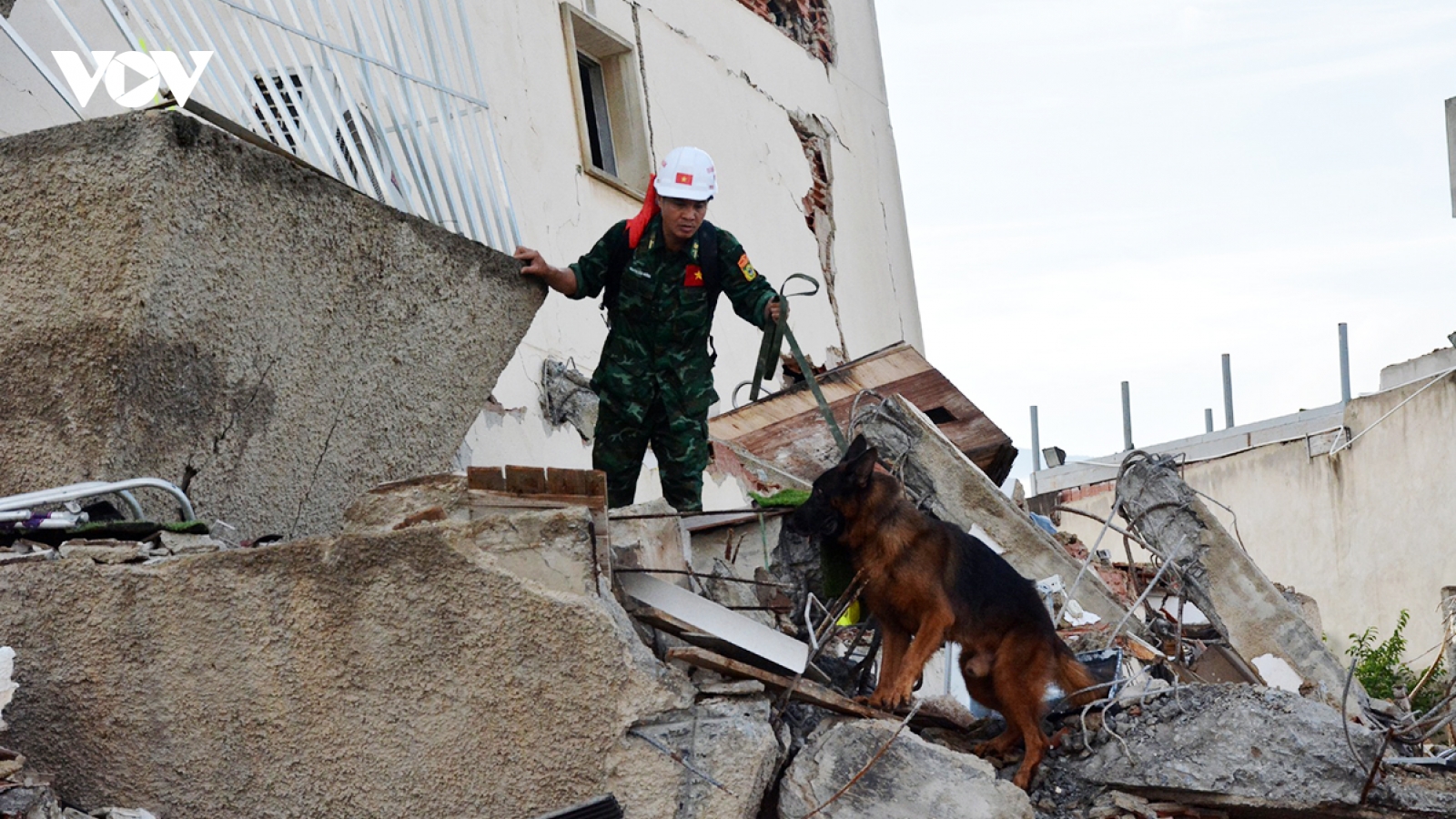Vietnamese military working dogs excel in Venezuela quake rescue mission
