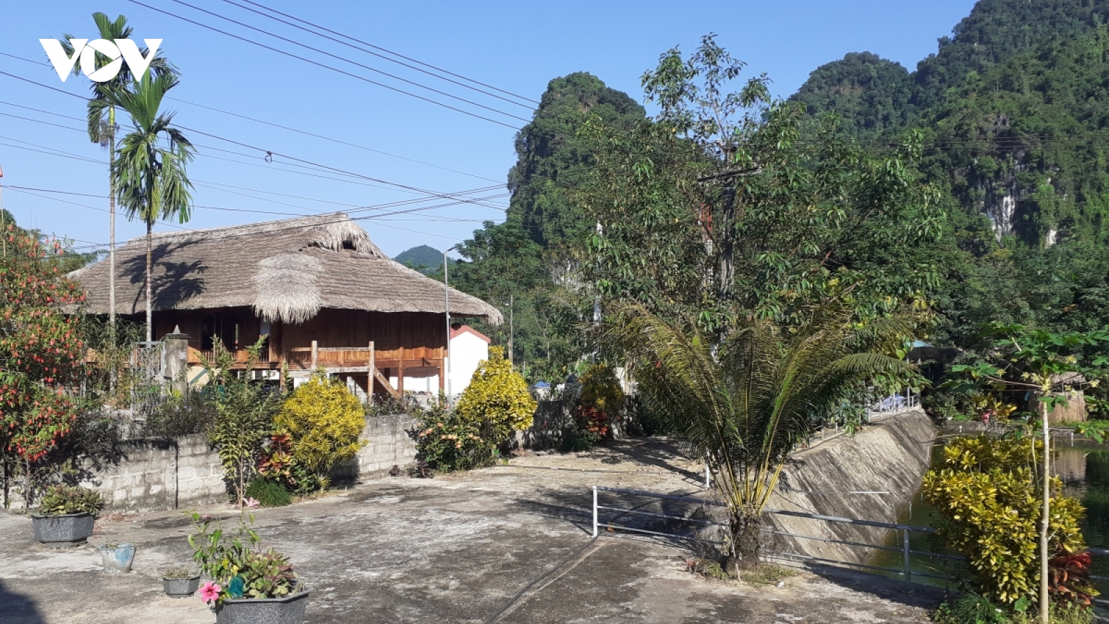 Tuyên Quang phát triển rừng khi thực hiện mô hình chính quyền địa phương hai cấp