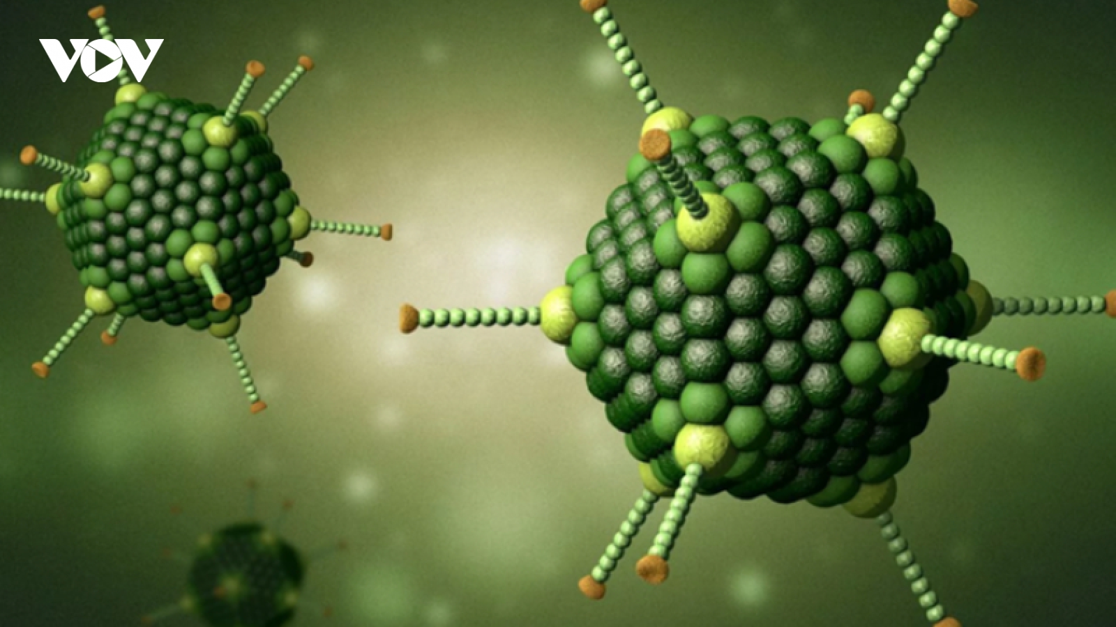 Virus Adeno có phải là nguyên nhân gây đau mắt đỏ hay viêm kết mạc?