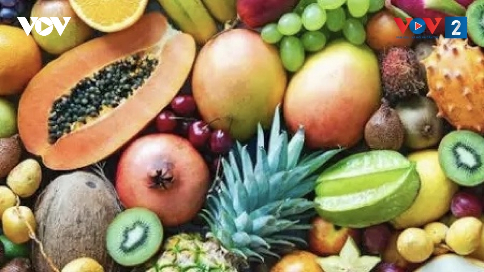 Dinh dưỡng phù hợp cho người cao tuổi