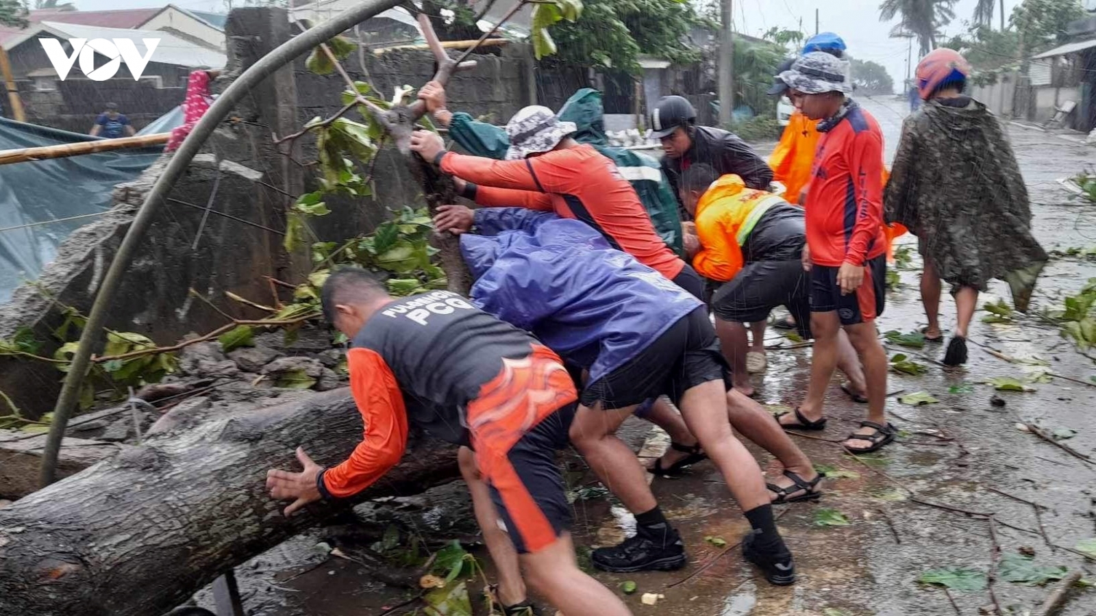 Bão Bavi đã mạnh lên thành cấp siêu bão