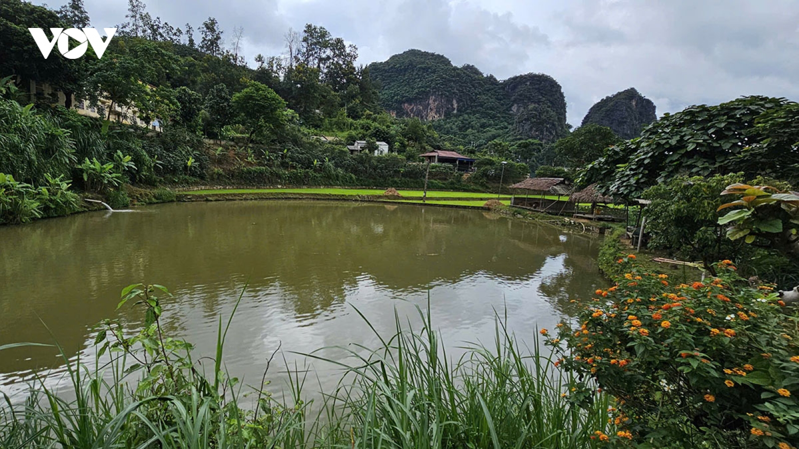 Về hồ câu Nà Phừm, nghe điệu khắp Thái giữa đại ngàn Tây Bắc
