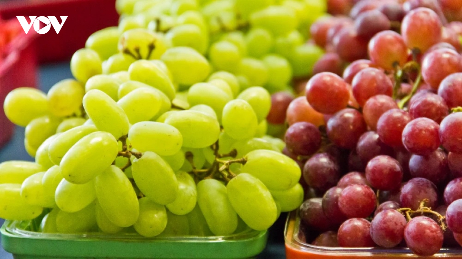 Vì sao hoa quả Trung Quốc giá cao vẫn “đắt như tôm tươi”?