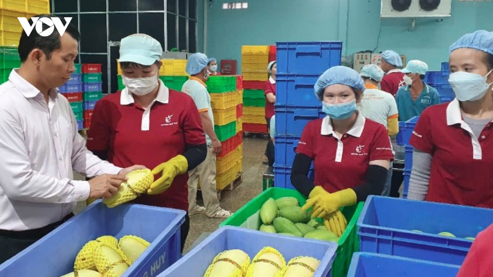 Seafood and fruit-vegetable exports surpass US$10 billion in mid-2026