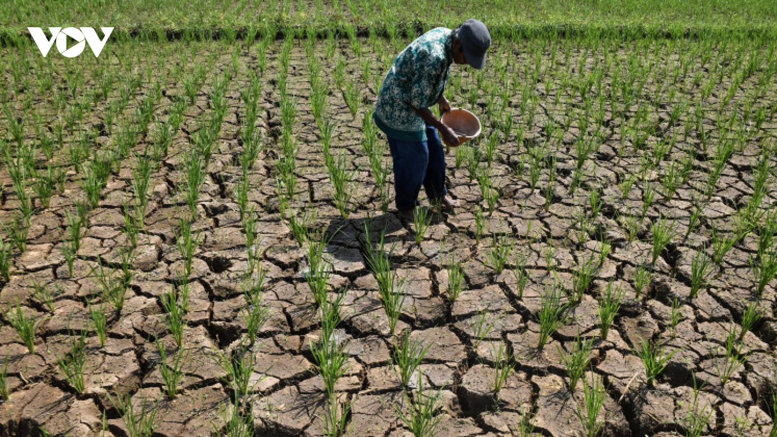 Hàng nghìn hộ gia đình ở Indonesia thiếu nước sạch do hiện tượng El Niño