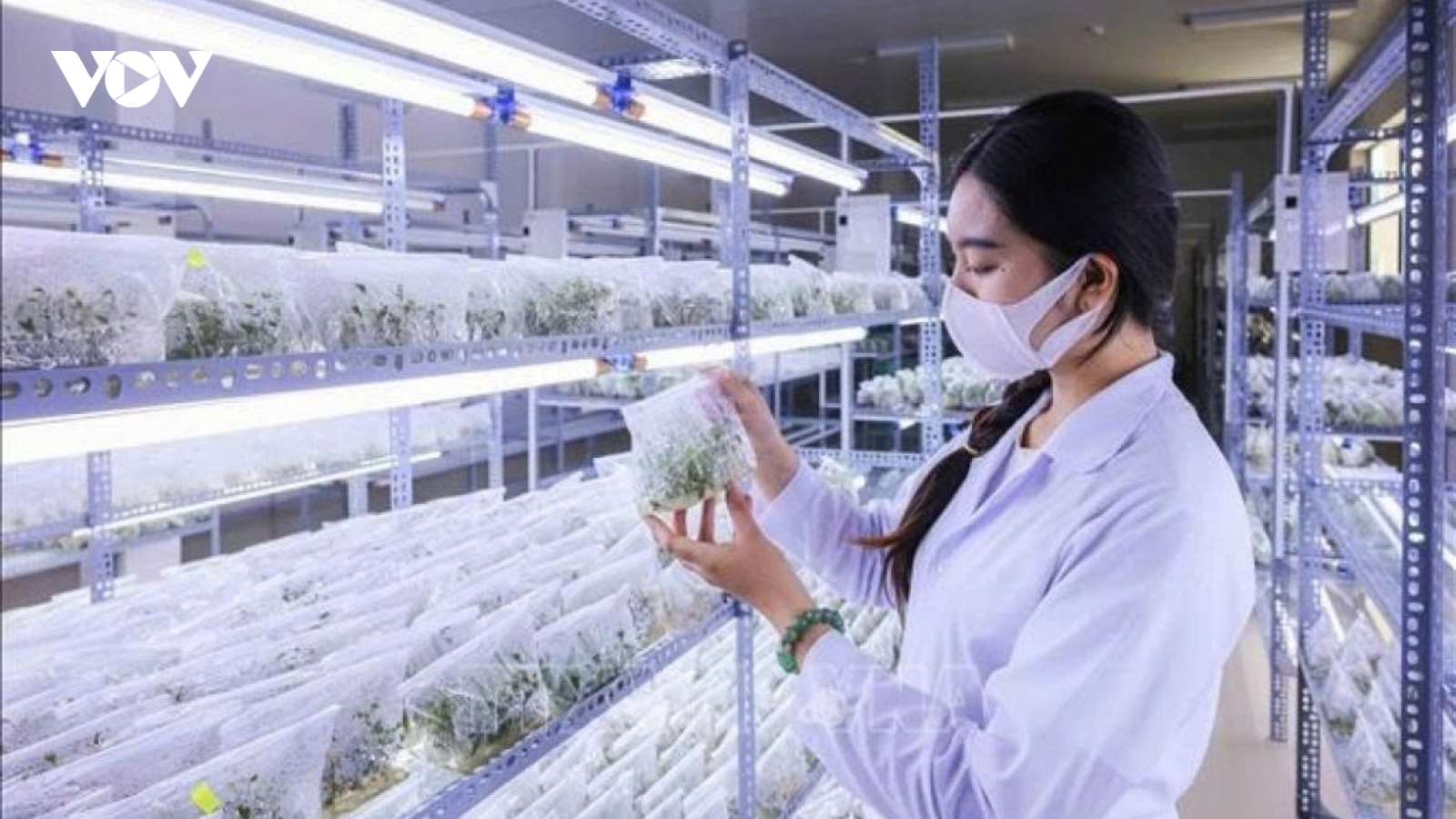 Nghị quyết 57/NQ-TW: Đột phá là đời sống của người dân được cải thiện rõ rệt hơn