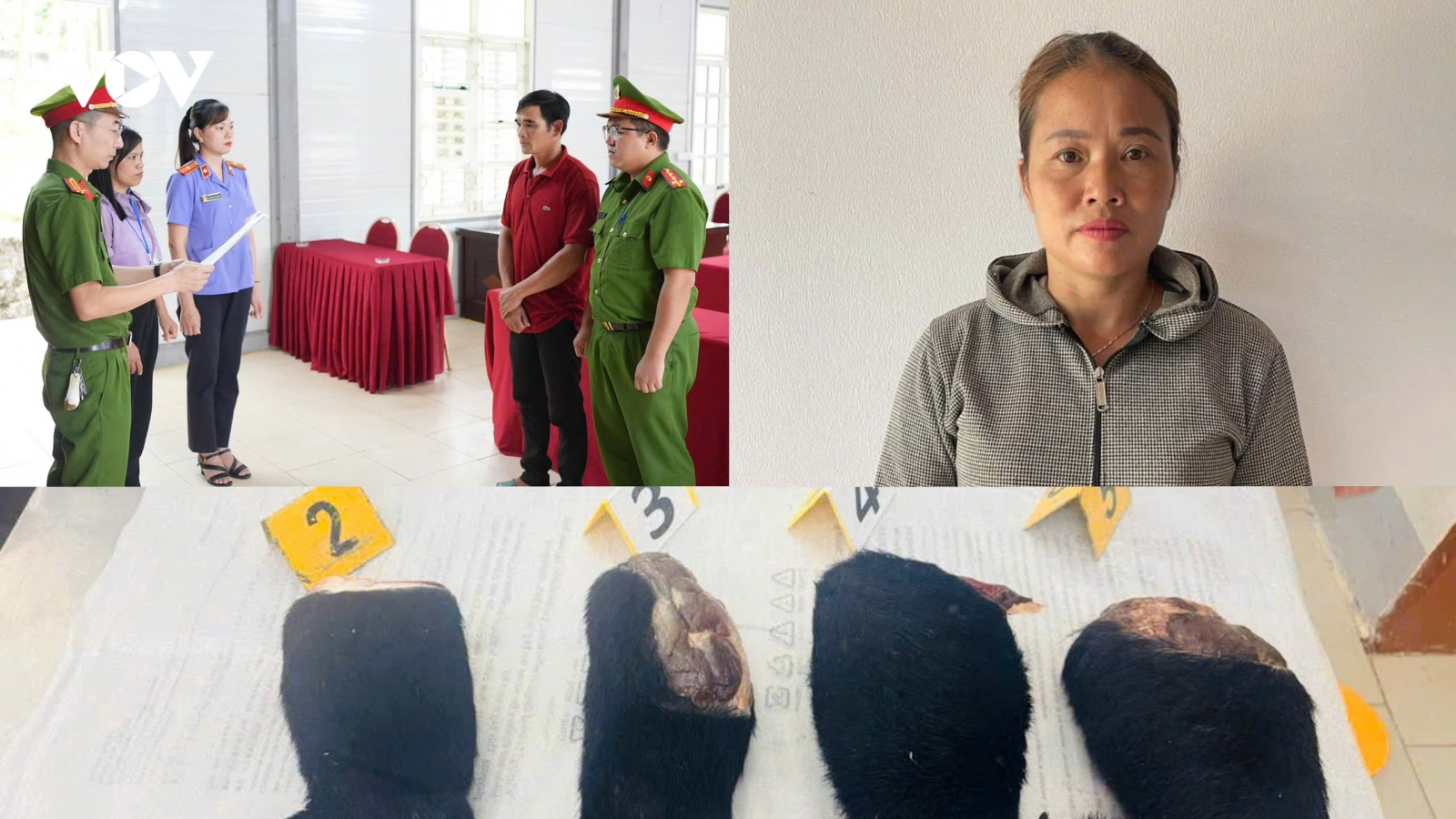 Sơn La khởi tố hai đối tượng mua bán tay gấu ngựa