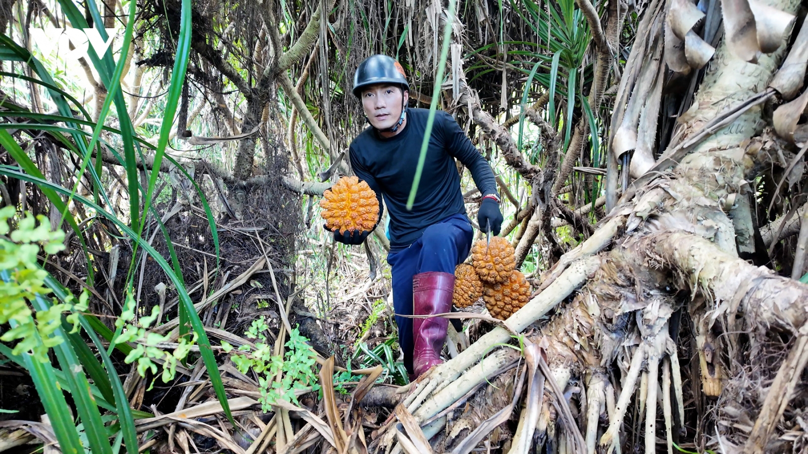 Săn “lộc rừng" giữa biển khơi Thanh Lân (Cô Tô)