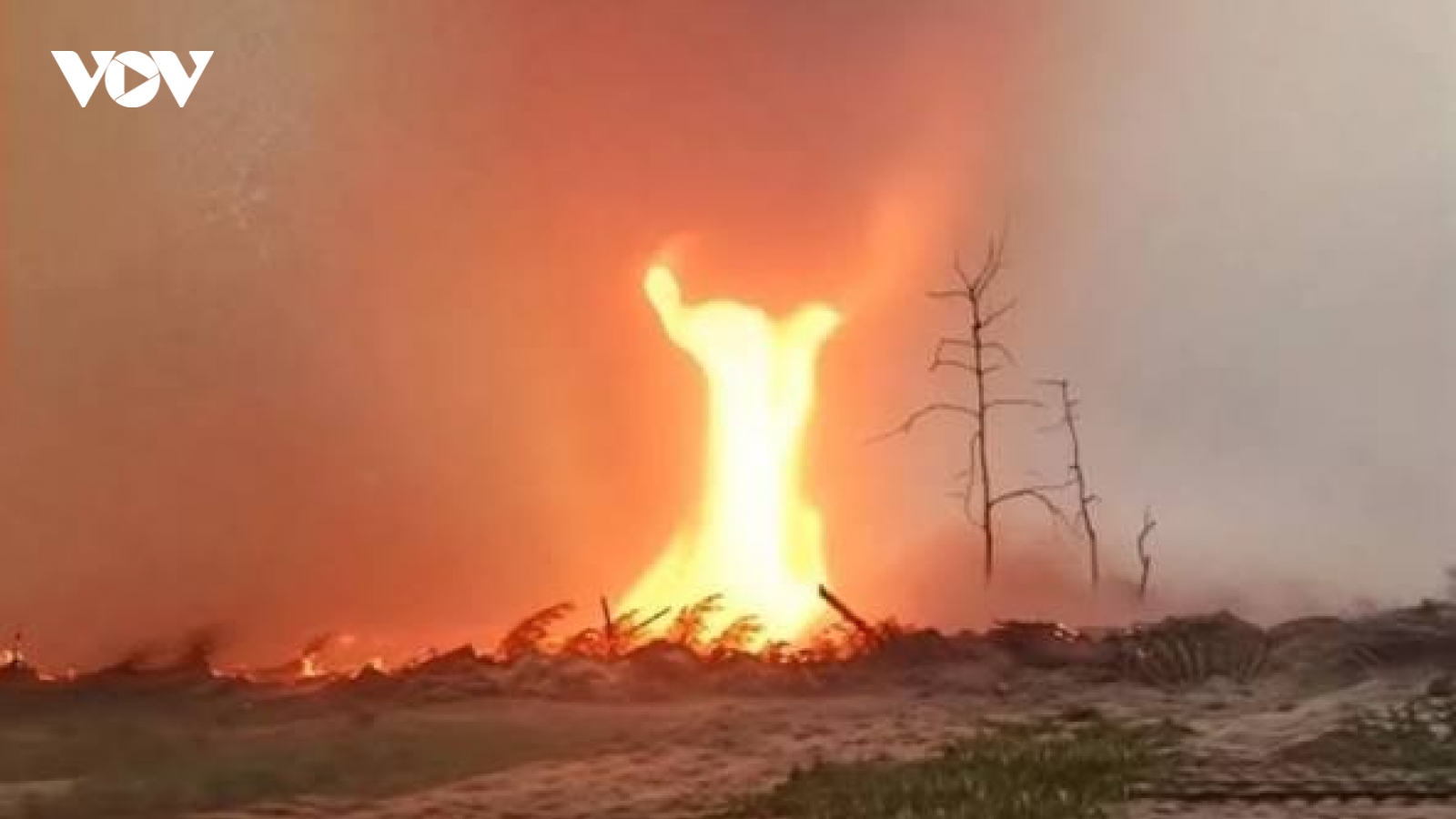 Lốc xoáy lửa bùng phát tại vùng cấm Chernobyl ở Ukraine