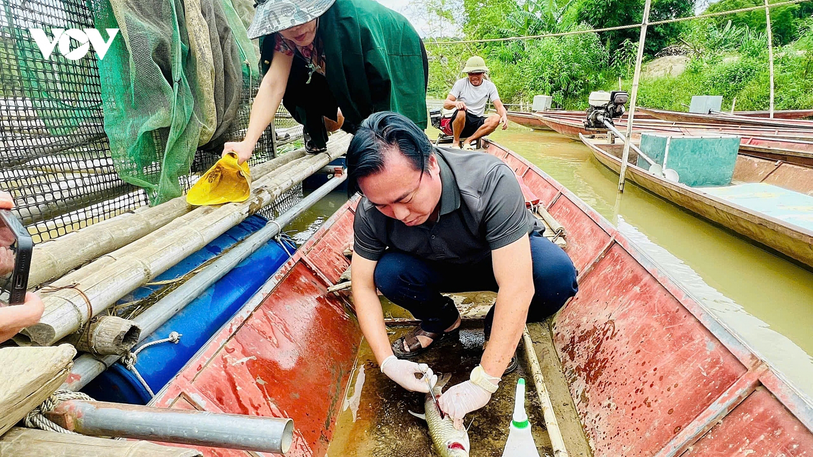 Nghệ An kiểm tra, lấy mẫu xác định nguyên nhân cá chết bất thường trên sông Lam